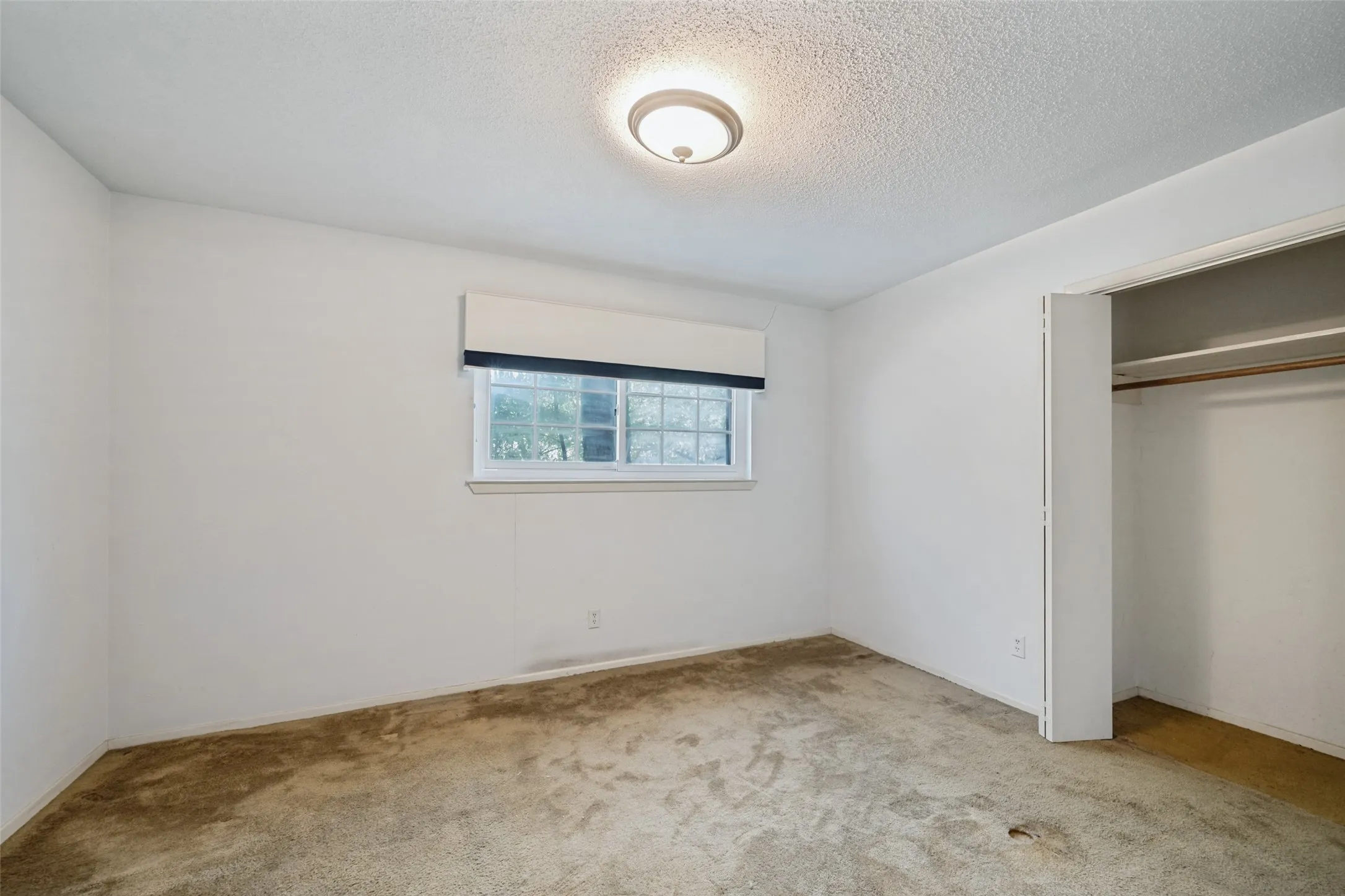 Window with exterior foliage, overhead flush-mount lighting, and built-in closet with shelving and hanging rod