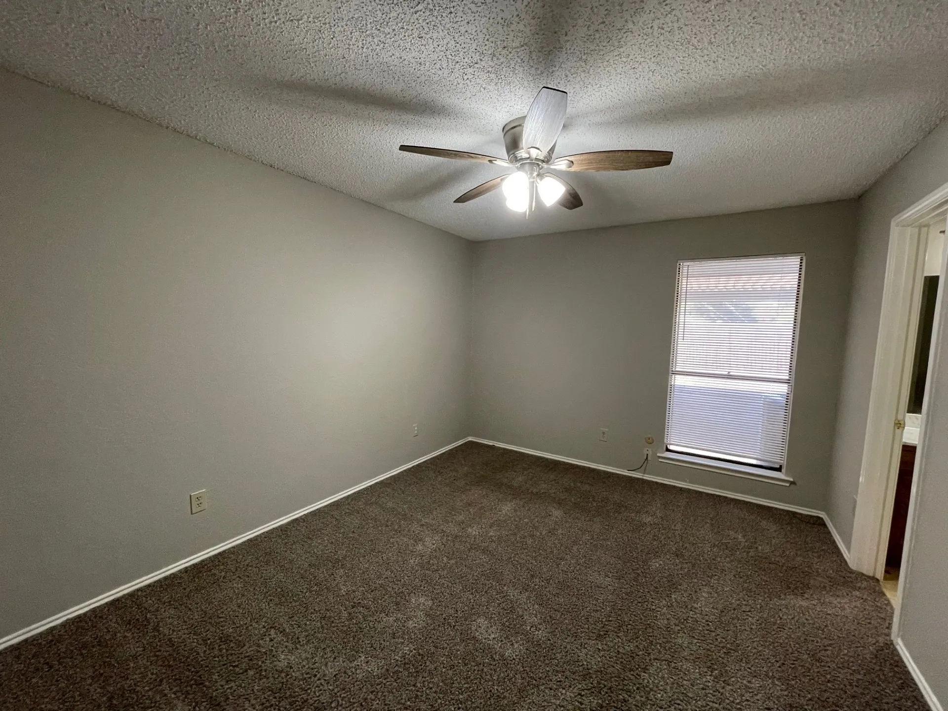 Empty room featuring carpet floors, a textured ceiling, and a ceiling fan