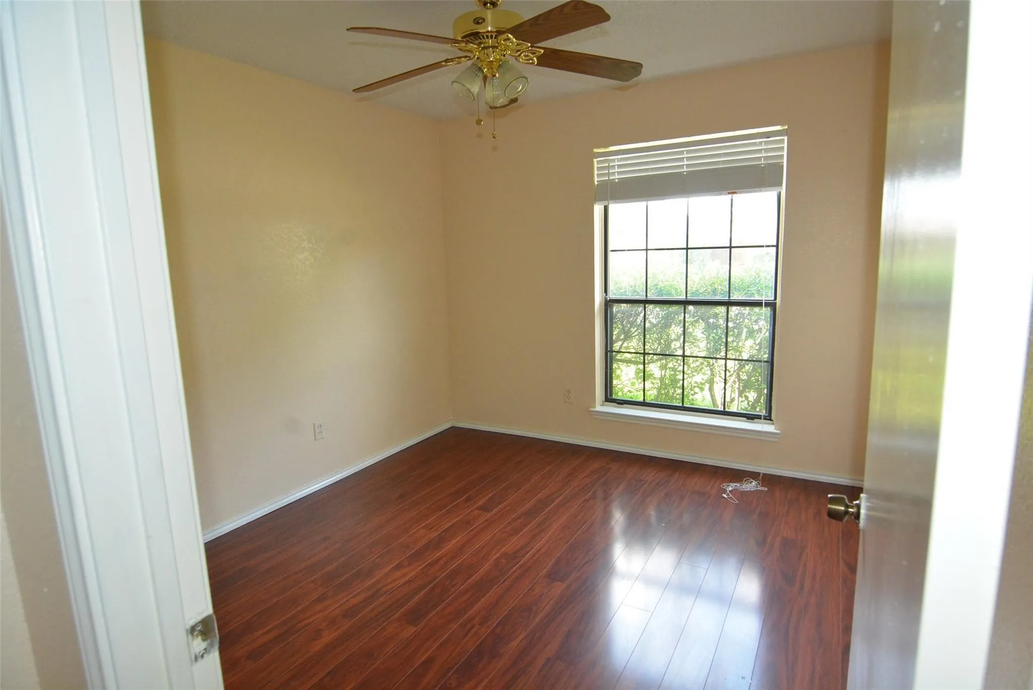 Wood-finish flooring, single window with gridded panes, ceiling fan, and light-toned wall finishes