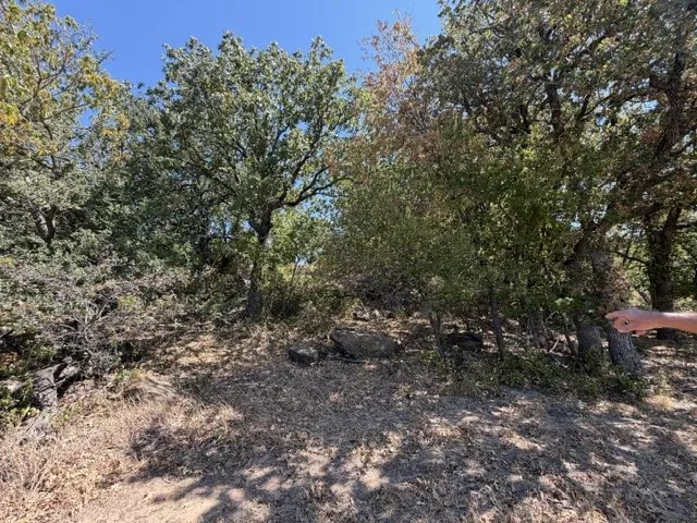 Unimproved Land For Sale in Montague County , TBD South Ford Road, Bowie, Texas 76230, 0, 0, Garage spaces, 0 Sqft, built in 0, mls#21376514, Real Estate Agent in Bowie, Homes For Sale in Montague county, Homes For Sale in Bowie, Realtor in Bowie Texas, Real Estate Brokerage Independent Realty Texas, Luminita Cordes Realtor