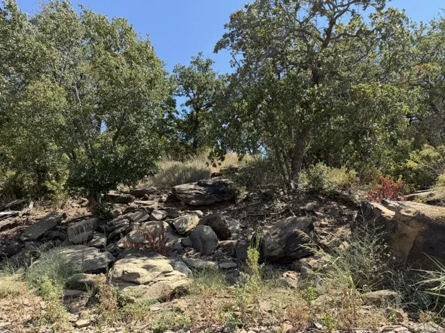 Unimproved Land For Sale in Montague County , TBD South Ford Road, Bowie, Texas 76230, 0, 0, Garage spaces, 0 Sqft, built in 0, mls#21376514, Real Estate Agent in Bowie, Homes For Sale in Montague county, Homes For Sale in Bowie, Realtor in Bowie Texas, Real Estate Brokerage Independent Realty Texas, Luminita Cordes Realtor