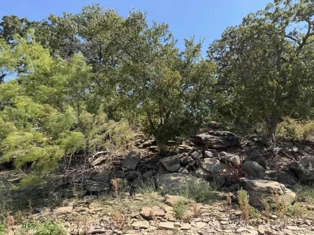 Unimproved Land For Sale in Montague County , TBD South Ford Road, Bowie, Texas 76230, 0, 0, Garage spaces, 0 Sqft, built in 0, mls#21376514, Real Estate Agent in Bowie, Homes For Sale in Montague county, Homes For Sale in Bowie, Realtor in Bowie Texas, Real Estate Brokerage Independent Realty Texas, Luminita Cordes Realtor