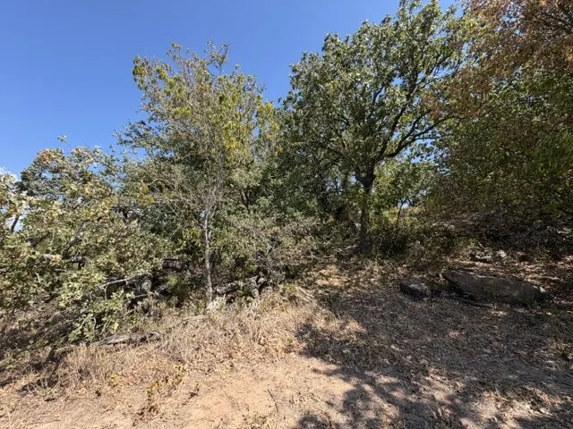 Unimproved Land For Sale in Montague County , TBD South Ford Road, Bowie, Texas 76230, 0, 0, Garage spaces, 0 Sqft, built in 0, mls#21376514, Real Estate Agent in Bowie, Homes For Sale in Montague county, Homes For Sale in Bowie, Realtor in Bowie Texas, Real Estate Brokerage Independent Realty Texas, Luminita Cordes Realtor