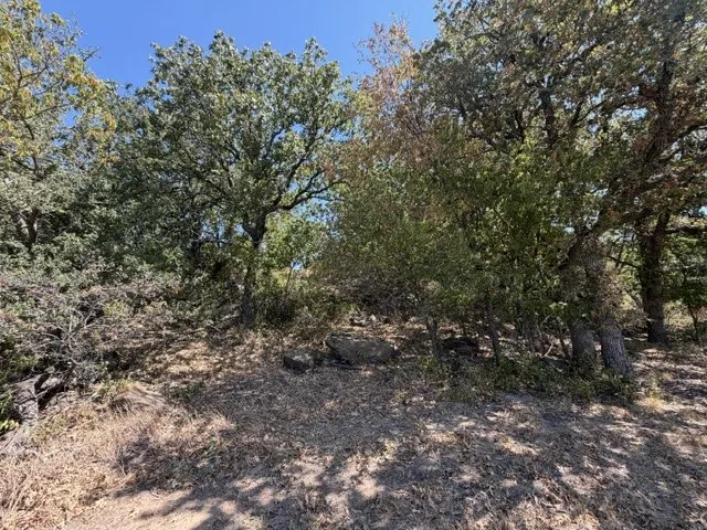 Unimproved Land For Sale in Montague County , TBD South Ford Road, Bowie, Texas 76230, 0, 0, Garage spaces, 0 Sqft, built in 0, mls#21376514, Real Estate Agent in Bowie, Homes For Sale in Montague county, Homes For Sale in Bowie, Realtor in Bowie Texas, Real Estate Brokerage Independent Realty Texas, Luminita Cordes Realtor