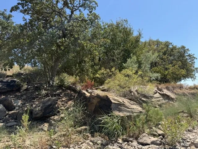 Unimproved Land For Sale in Montague County , TBD South Ford Road, Bowie, Texas 76230, 0, 0, Garage spaces, 0 Sqft, built in 0, mls#21376514, Real Estate Agent in Bowie, Homes For Sale in Montague county, Homes For Sale in Bowie, Realtor in Bowie Texas, Real Estate Brokerage Independent Realty Texas, Luminita Cordes Realtor