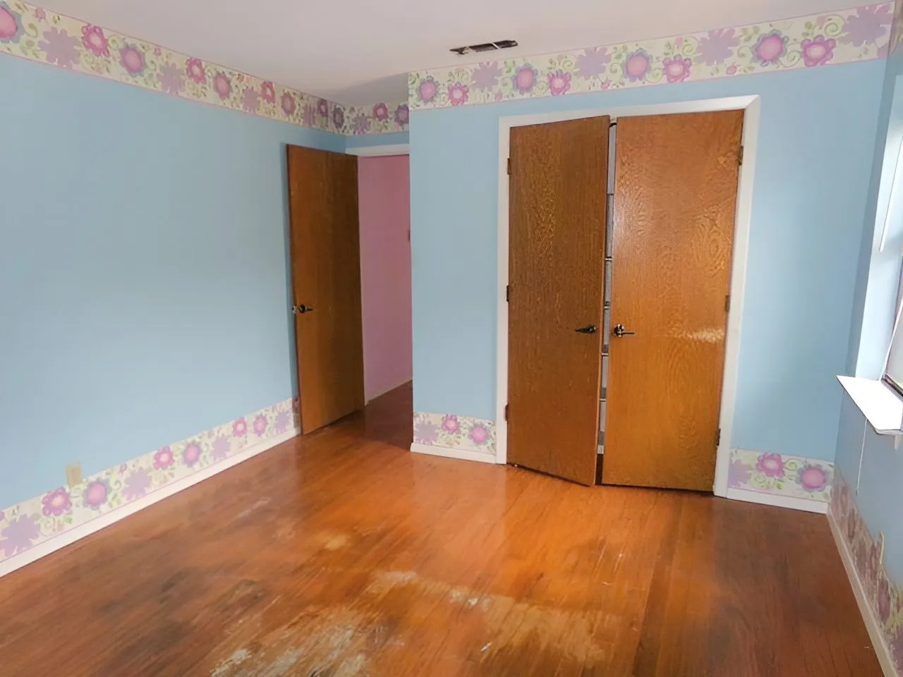 Hardwood flooring, painted walls, two solid panel doors, and a window sill