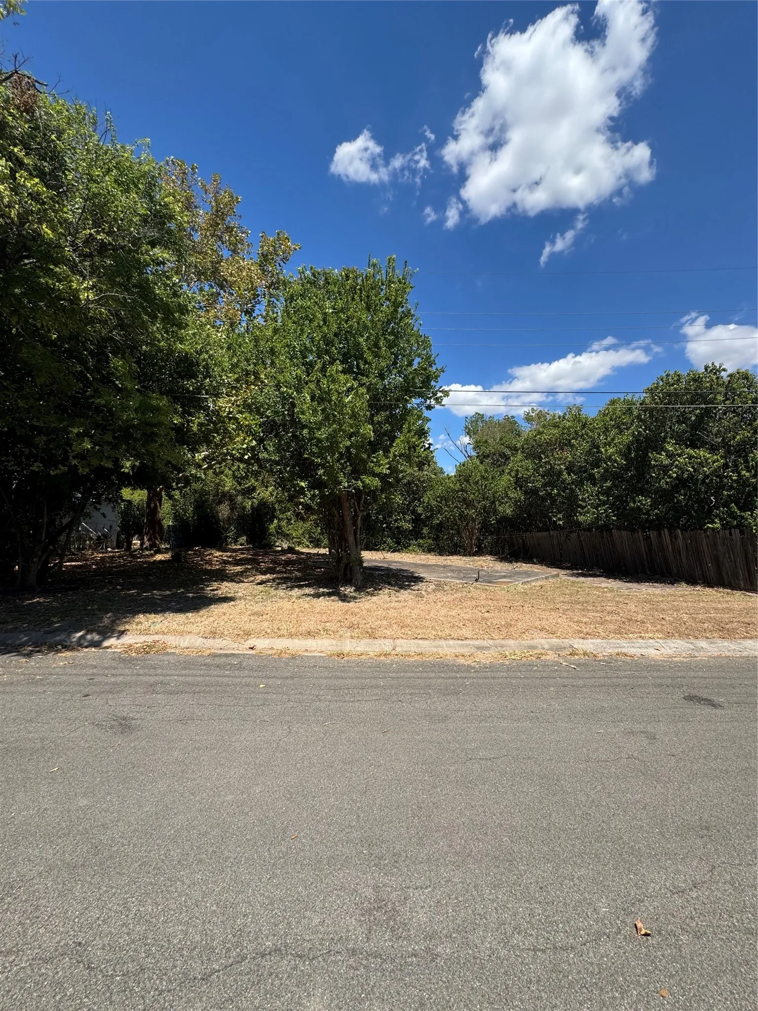 Expansive lot featuring mature trees, a paved driveway, and a wood privacy fence