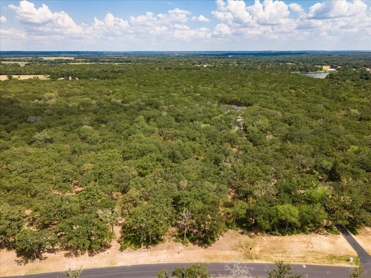 Unimproved Land For Sale in Henderson County , 6970 Lakeshore Way, Caney City, Texas 75124, 0, 0, Garage spaces, 0 Sqft, built in 0, mls#21374142, Real Estate Agent in Caney City, Homes For Sale in Henderson county, Homes For Sale in Caney City, Realtor in Caney City Texas, Real Estate Brokerage Independent Realty Texas, Luminita Cordes Realtor
