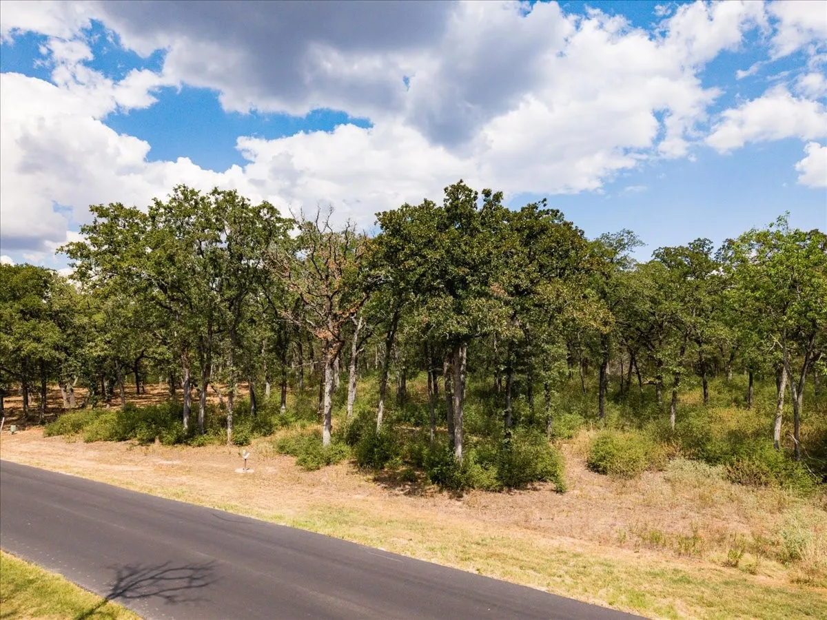 Unimproved Land For Sale in Henderson County , 6970 Lakeshore Way, Caney City, Texas 75124, 0, 0, Garage spaces, 0 Sqft, built in 0, mls#21374142, Real Estate Agent in Caney City, Homes For Sale in Henderson county, Homes For Sale in Caney City, Realtor in Caney City Texas, Real Estate Brokerage Independent Realty Texas, Luminita Cordes Realtor