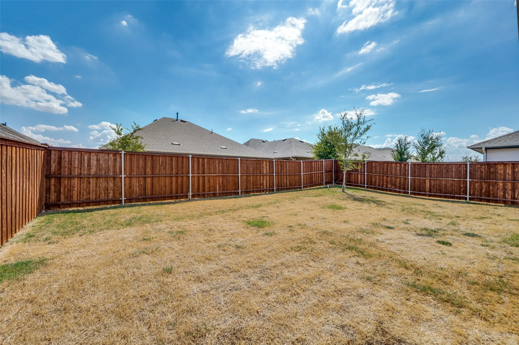 Super spacious backyard!