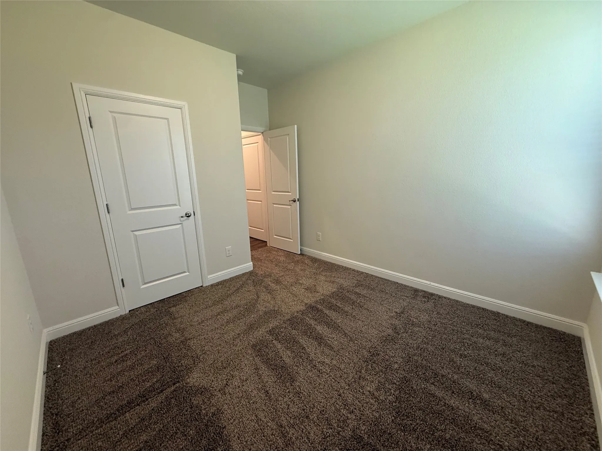 Neutral wall paint, plush carpeting, white trim, and white paneled doors