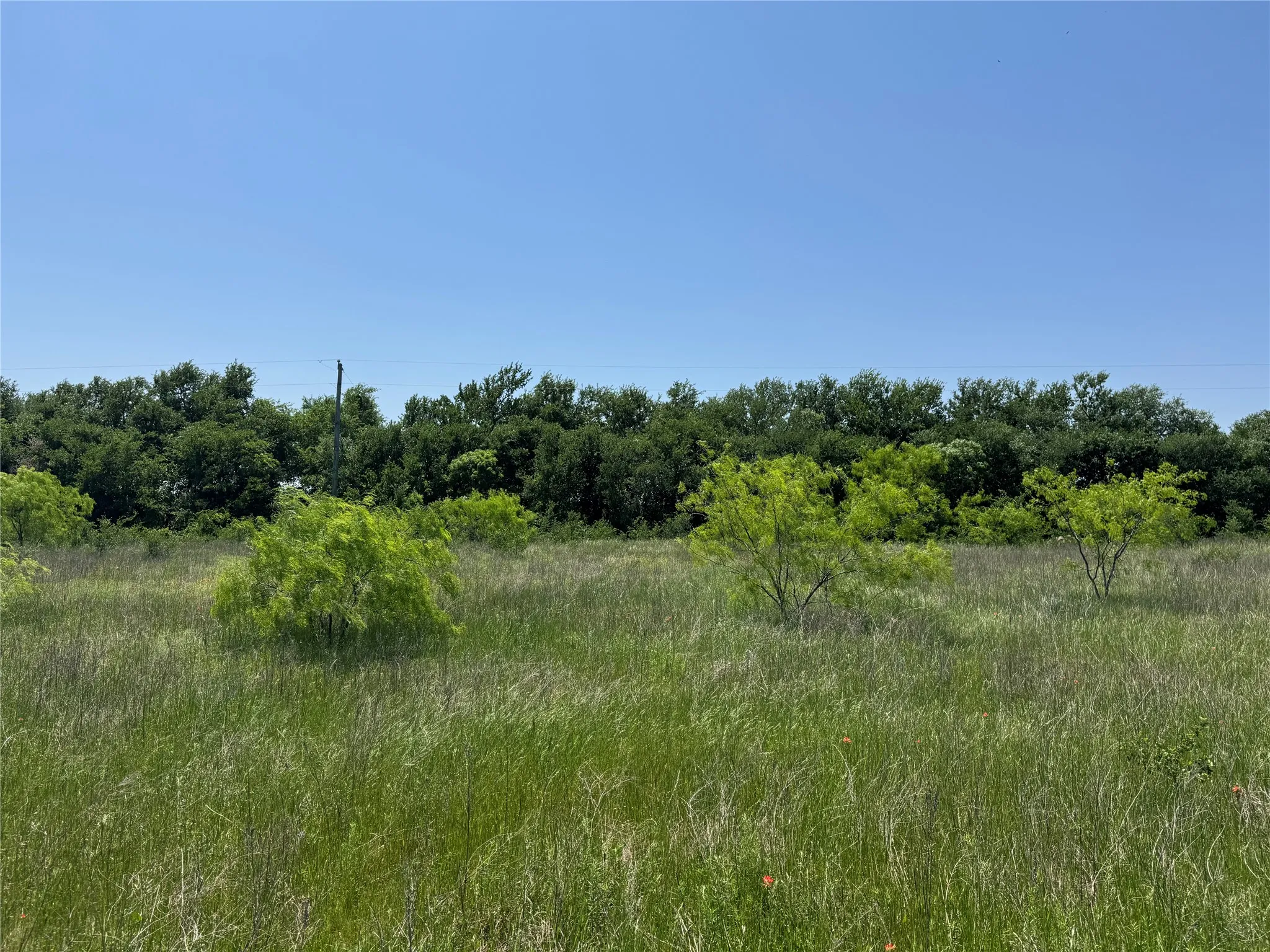 Unimproved Land For Sale in Mc Lennan County , 0 Clater Powell Road Lot 3, Gholson, Texas 76705, 0, 0, Garage spaces, 0 Sqft, built in 0, mls#21376571, Real Estate Agent in Gholson, Homes For Sale in Mc Lennan county, Homes For Sale in Gholson, Realtor in Gholson Texas, Real Estate Brokerage Independent Realty Texas, Luminita Cordes Realtor