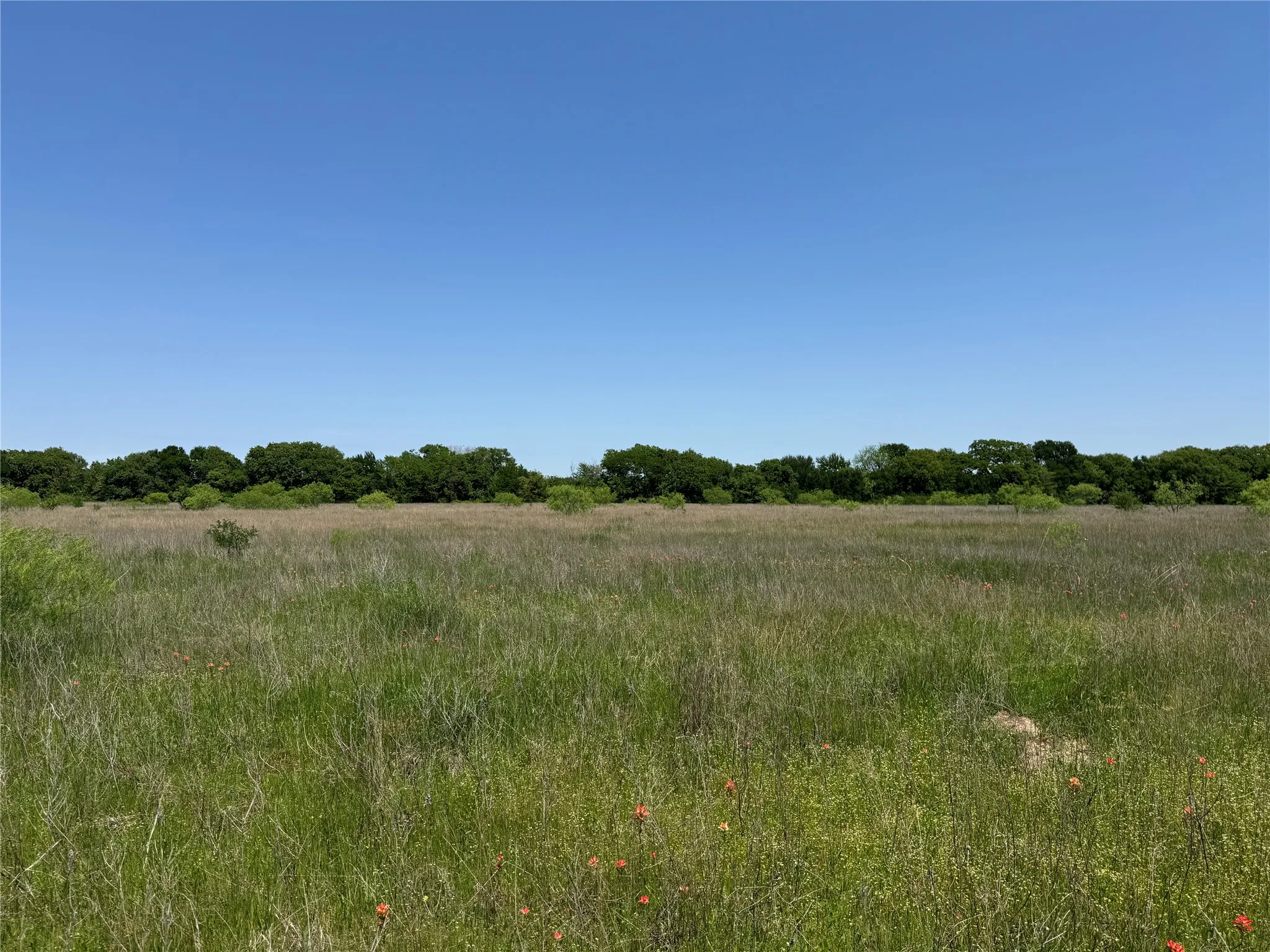 Unimproved Land For Sale in Mc Lennan County , 0 Clater Powell Road Lot 3, Gholson, Texas 76705, 0, 0, Garage spaces, 0 Sqft, built in 0, mls#21376571, Real Estate Agent in Gholson, Homes For Sale in Mc Lennan county, Homes For Sale in Gholson, Realtor in Gholson Texas, Real Estate Brokerage Independent Realty Texas, Luminita Cordes Realtor