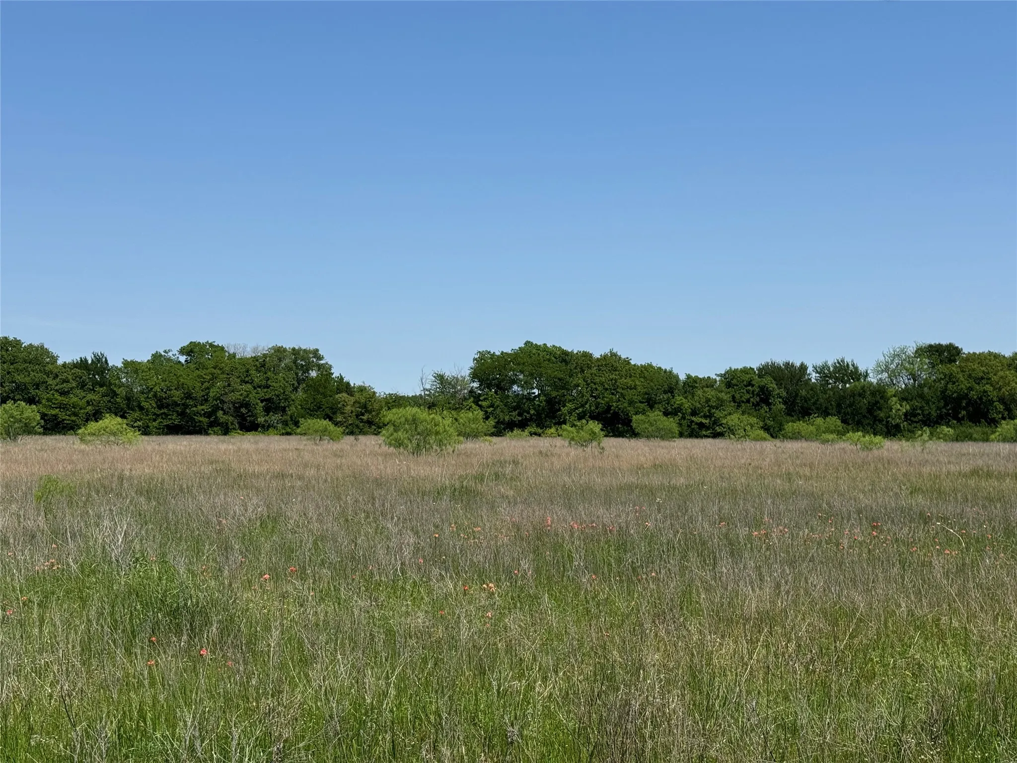 Unimproved Land For Sale in Mc Lennan County , 0 Clater Powell Road Lot 3, Gholson, Texas 76705, 0, 0, Garage spaces, 0 Sqft, built in 0, mls#21376571, Real Estate Agent in Gholson, Homes For Sale in Mc Lennan county, Homes For Sale in Gholson, Realtor in Gholson Texas, Real Estate Brokerage Independent Realty Texas, Luminita Cordes Realtor