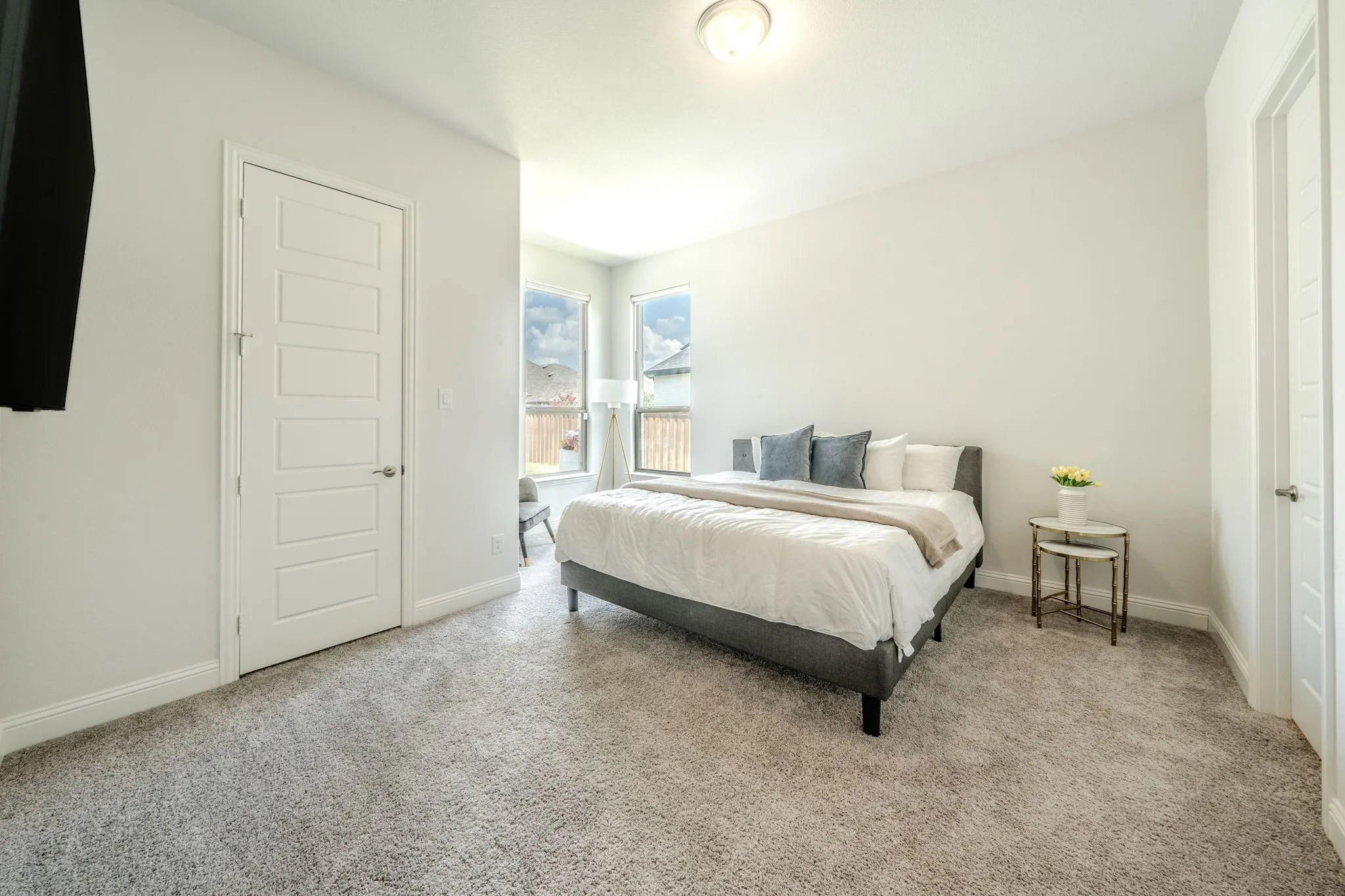 Plush carpeting, multiple windows providing natural illumination, and a ceiling-mounted light fixture