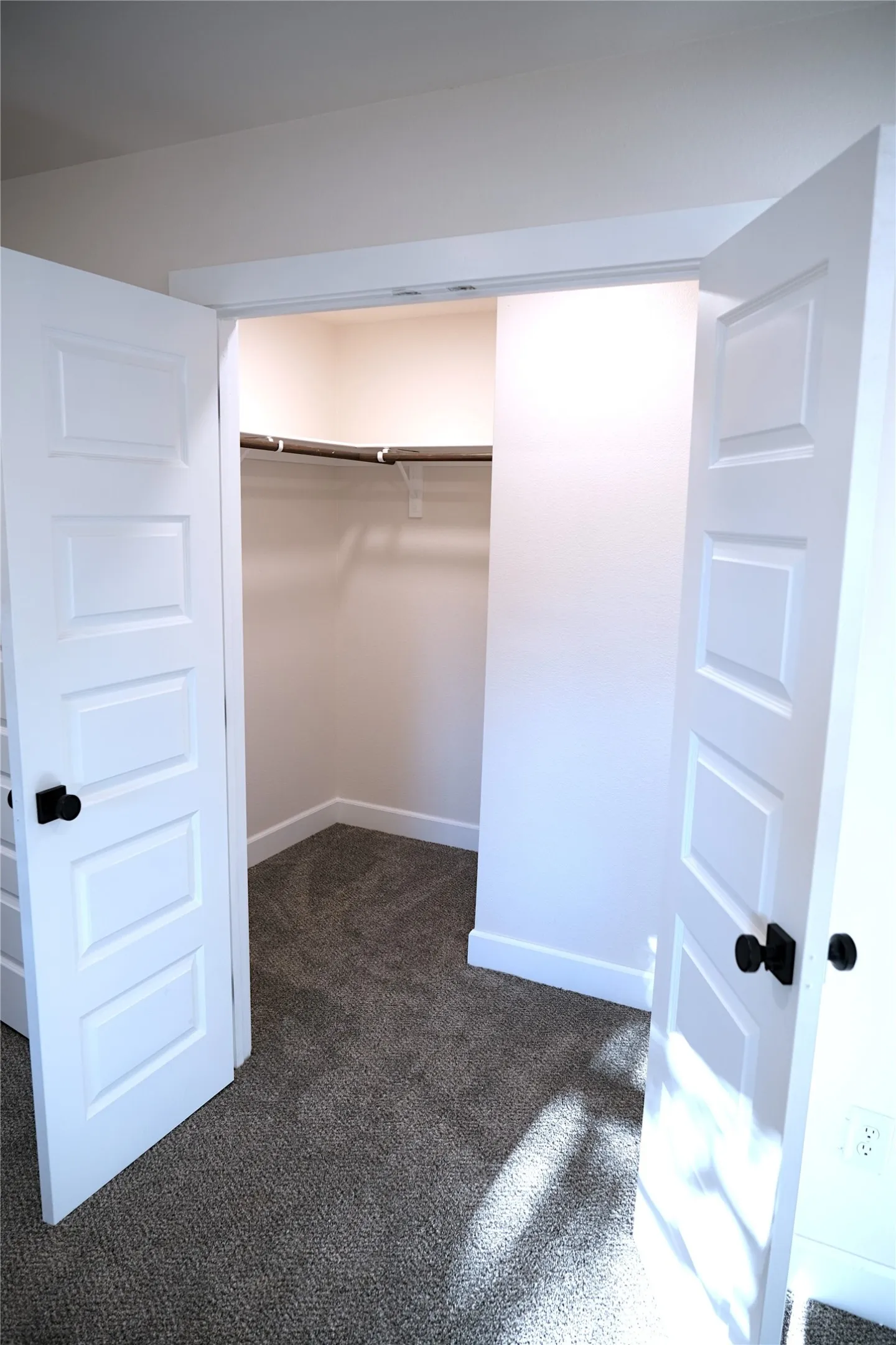 Primary Bedroom Walk-in Closet
