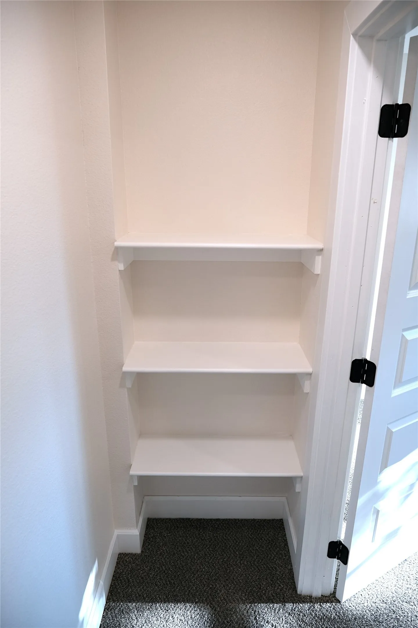 Primary Closet Shelving