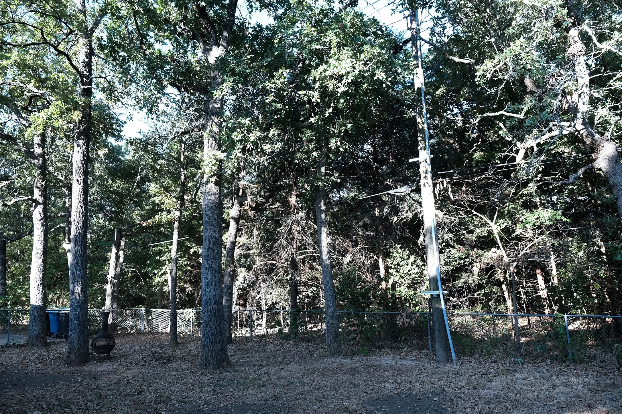 Backyard Green Belt View
