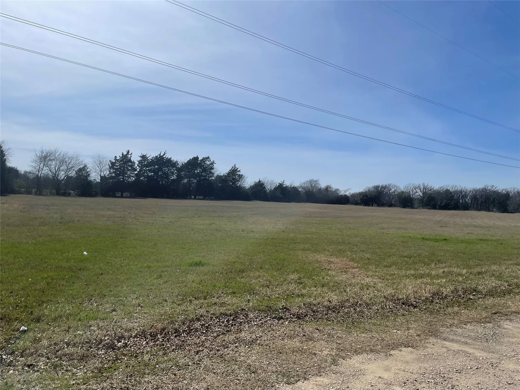 Unimproved Land For Sale in Van Zandt County , TBD VZ County Road 1801, Grand Saline, Texas 75140, 0, 0, Garage spaces, 0 Sqft, built in 0, mls#21376592, Real Estate Agent in Grand Saline, Homes For Sale in Van Zandt county, Homes For Sale in Grand Saline, Realtor in Grand Saline Texas, Real Estate Brokerage Independent Realty Texas, Luminita Cordes Realtor