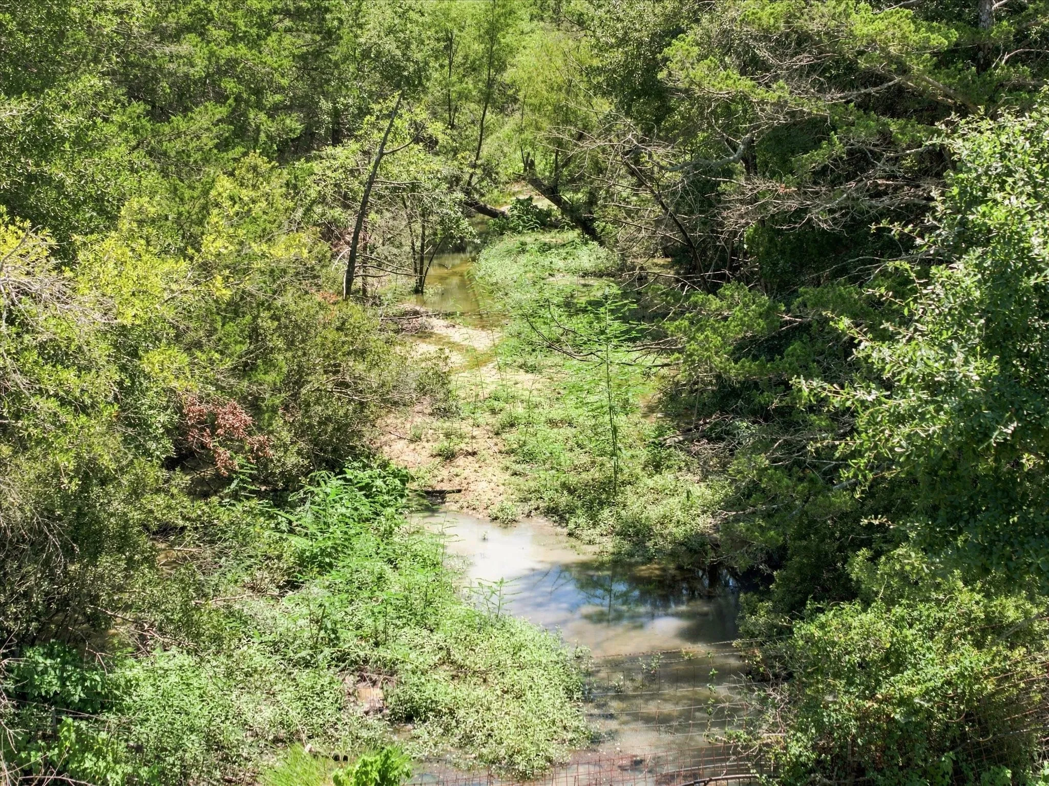 Creek from all weather spring fed