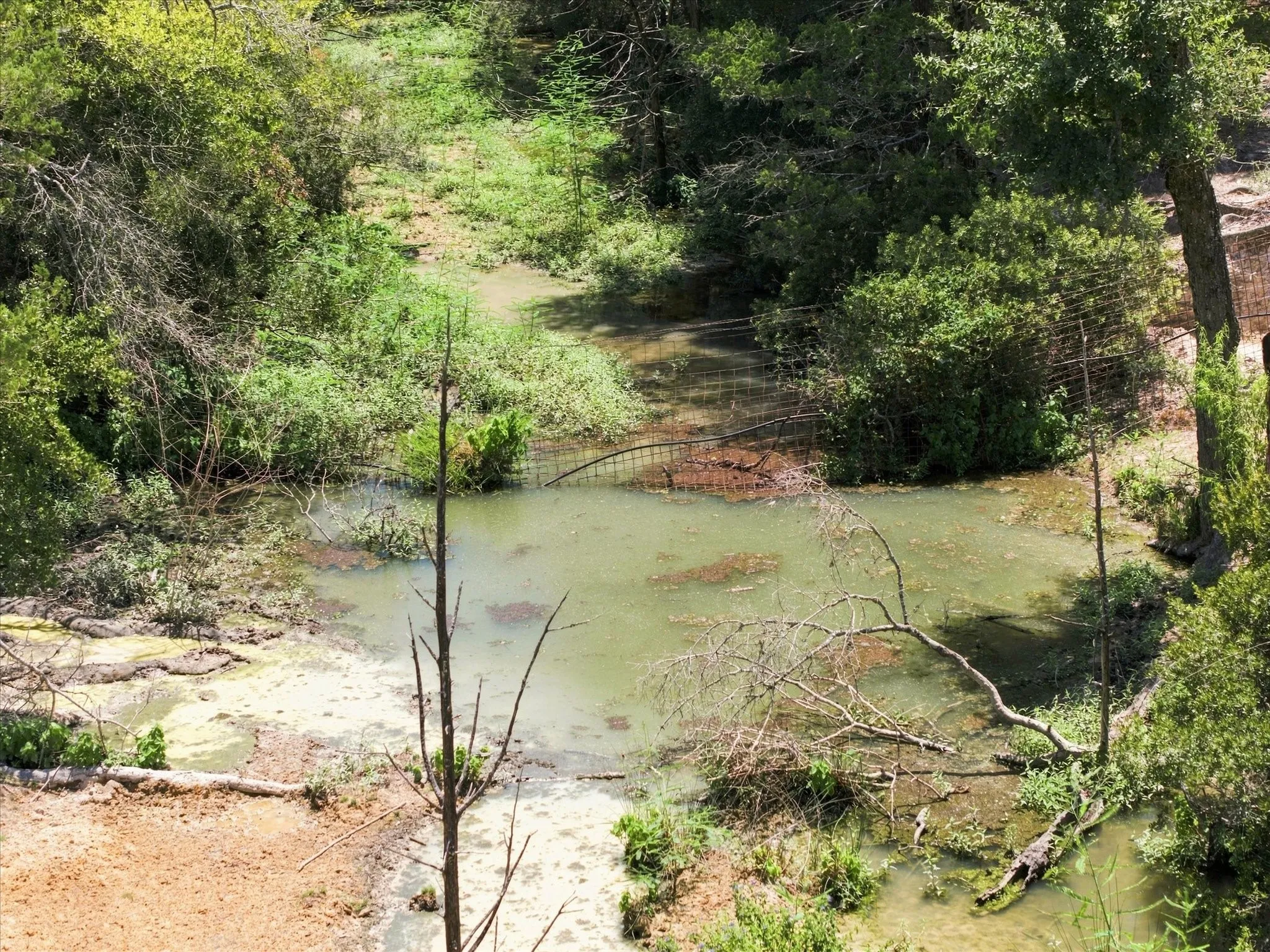 Creek from spring fed all weather