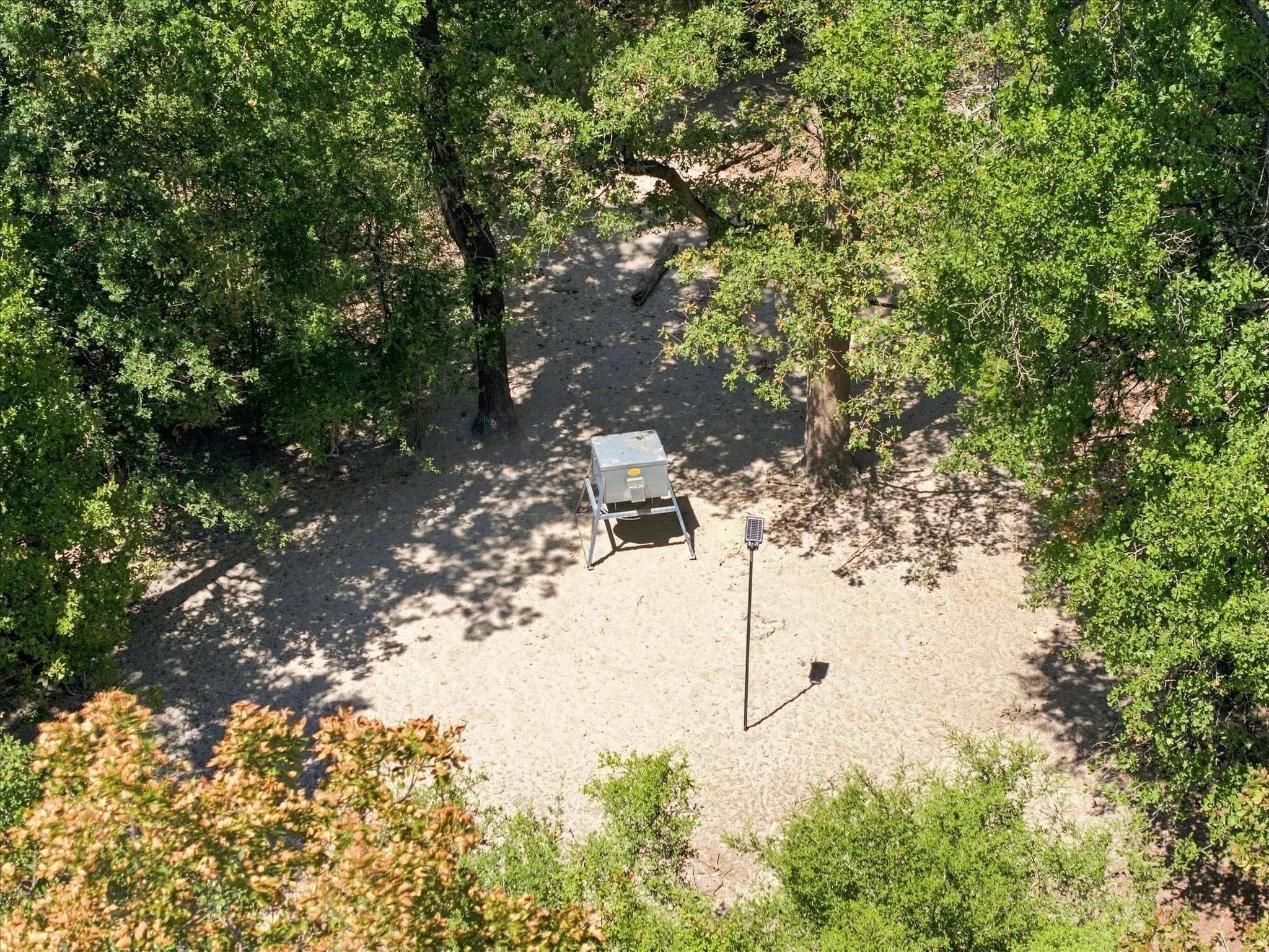 Ariel view of feeder and game camera