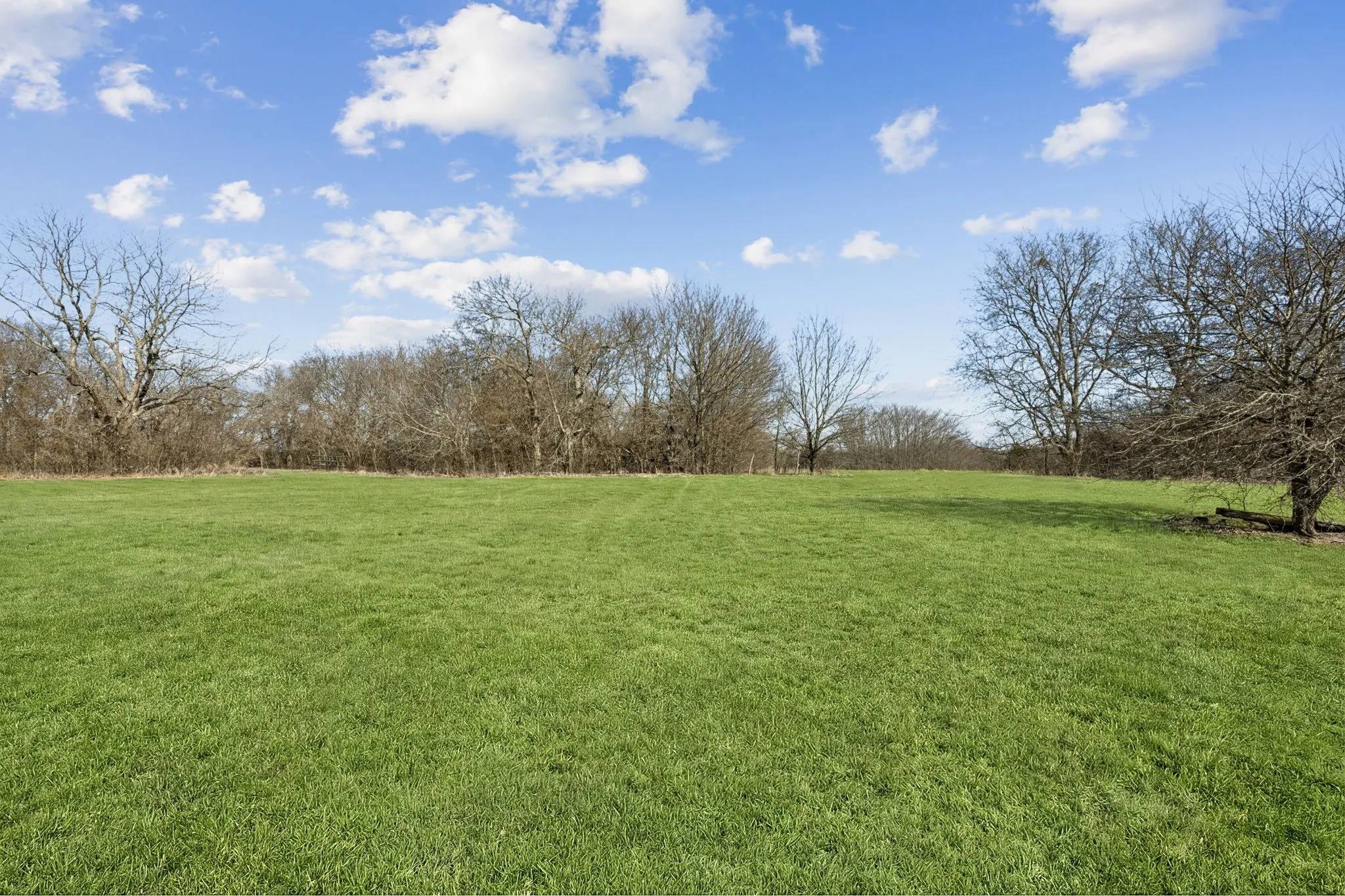 Unimproved Land For Sale in Grayson County , TBD State Hwy 160, Whitewright, Texas 75491, 0, 0, Garage spaces, 0 Sqft, built in 0, mls#21375404, Real Estate Agent in Whitewright, Homes For Sale in Grayson county, Homes For Sale in Whitewright, Realtor in Whitewright Texas, Real Estate Brokerage Independent Realty Texas, Luminita Cordes Realtor