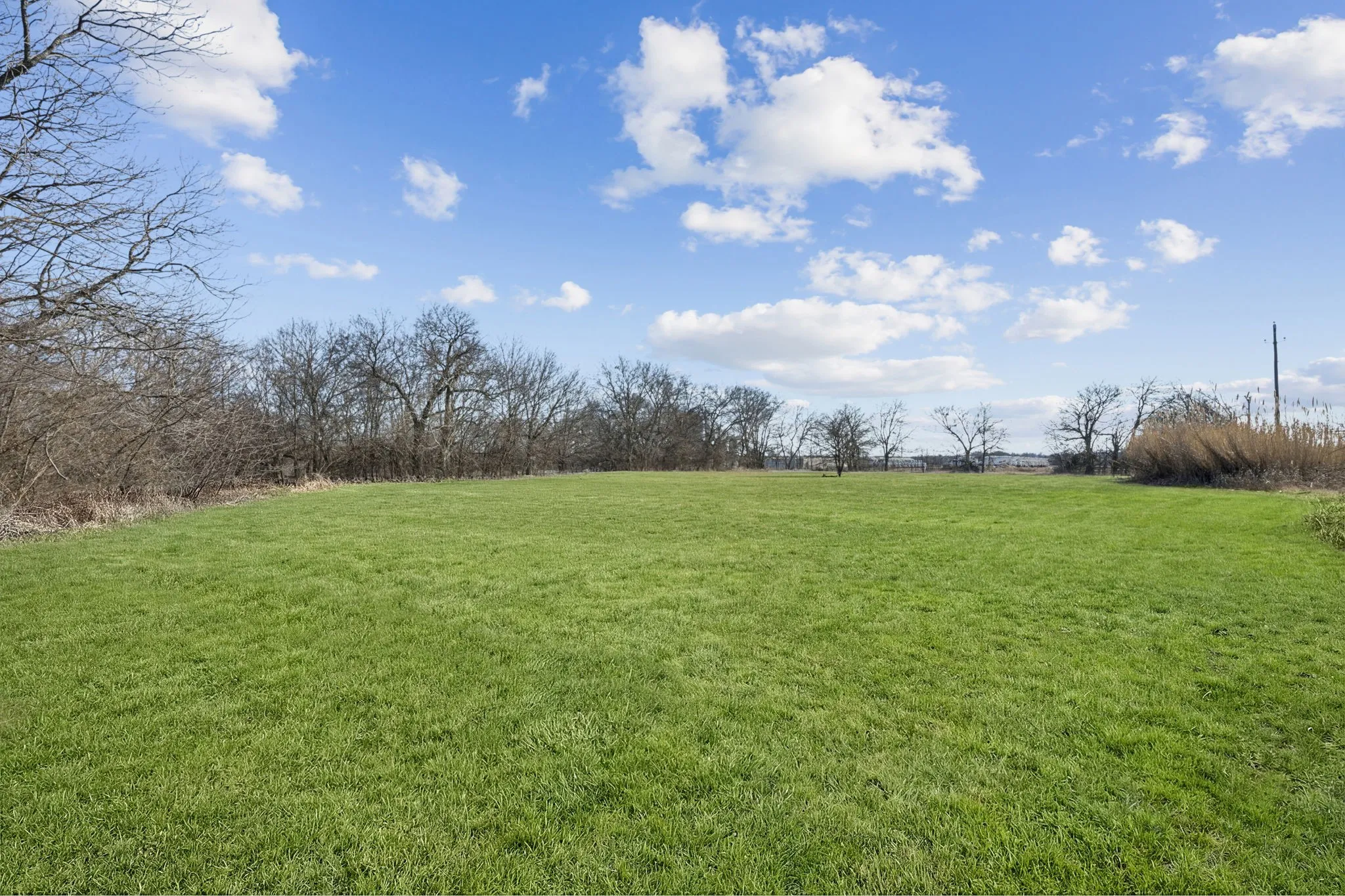 Unimproved Land For Sale in Grayson County , TBD State Hwy 160, Whitewright, Texas 75491, 0, 0, Garage spaces, 0 Sqft, built in 0, mls#21375404, Real Estate Agent in Whitewright, Homes For Sale in Grayson county, Homes For Sale in Whitewright, Realtor in Whitewright Texas, Real Estate Brokerage Independent Realty Texas, Luminita Cordes Realtor