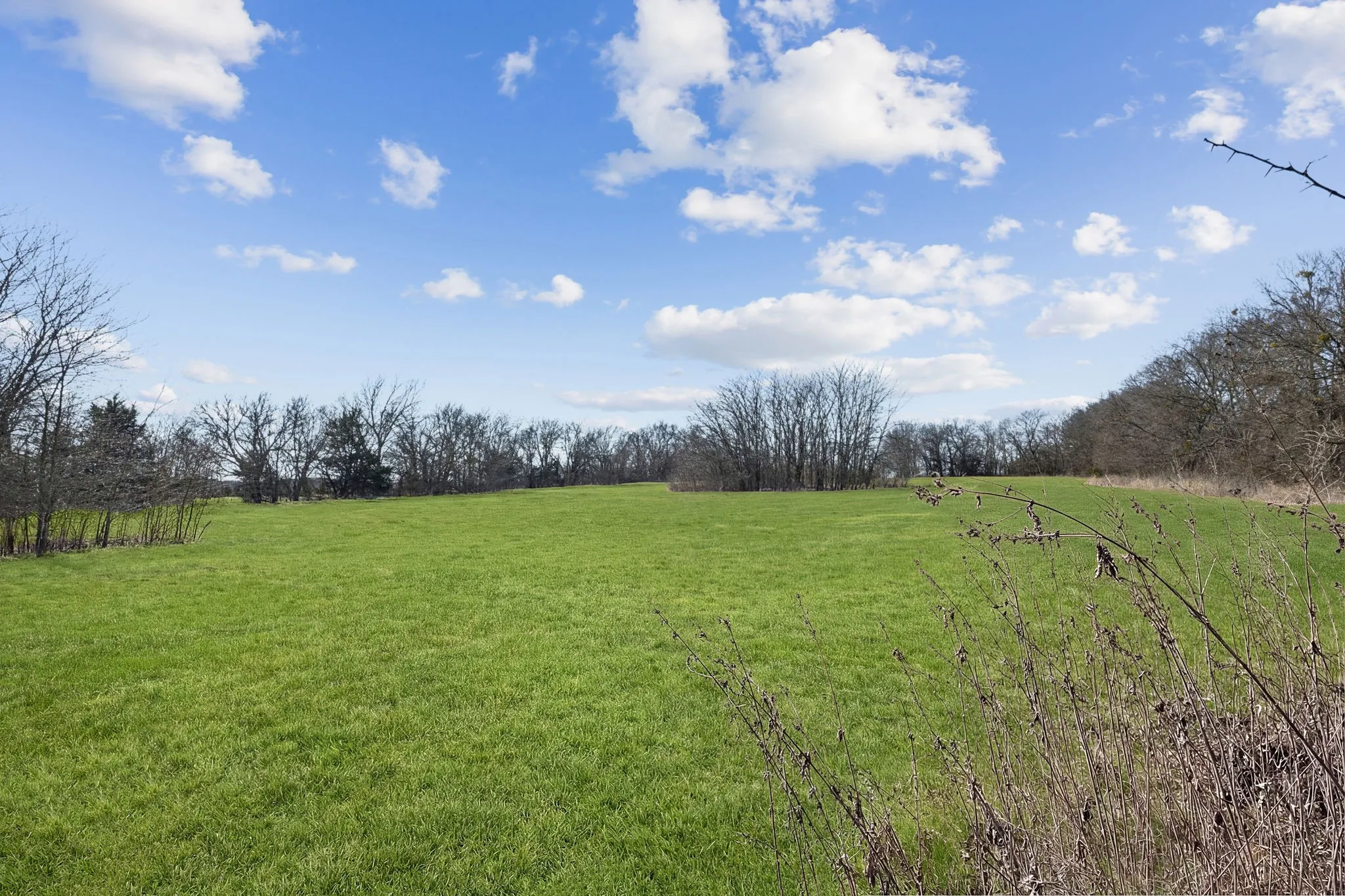 Unimproved Land For Sale in Grayson County , TBD State Hwy 160, Whitewright, Texas 75491, 0, 0, Garage spaces, 0 Sqft, built in 0, mls#21375404, Real Estate Agent in Whitewright, Homes For Sale in Grayson county, Homes For Sale in Whitewright, Realtor in Whitewright Texas, Real Estate Brokerage Independent Realty Texas, Luminita Cordes Realtor