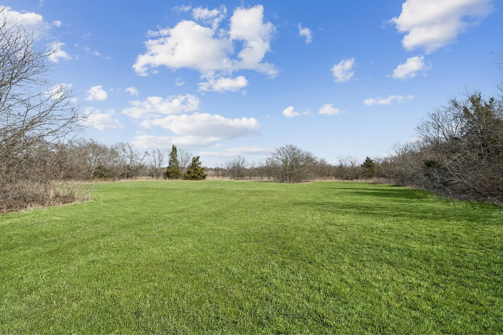 Unimproved Land For Sale in Grayson County , TBD State Hwy 160, Whitewright, Texas 75491, 0, 0, Garage spaces, 0 Sqft, built in 0, mls#21375404, Real Estate Agent in Whitewright, Homes For Sale in Grayson county, Homes For Sale in Whitewright, Realtor in Whitewright Texas, Real Estate Brokerage Independent Realty Texas, Luminita Cordes Realtor