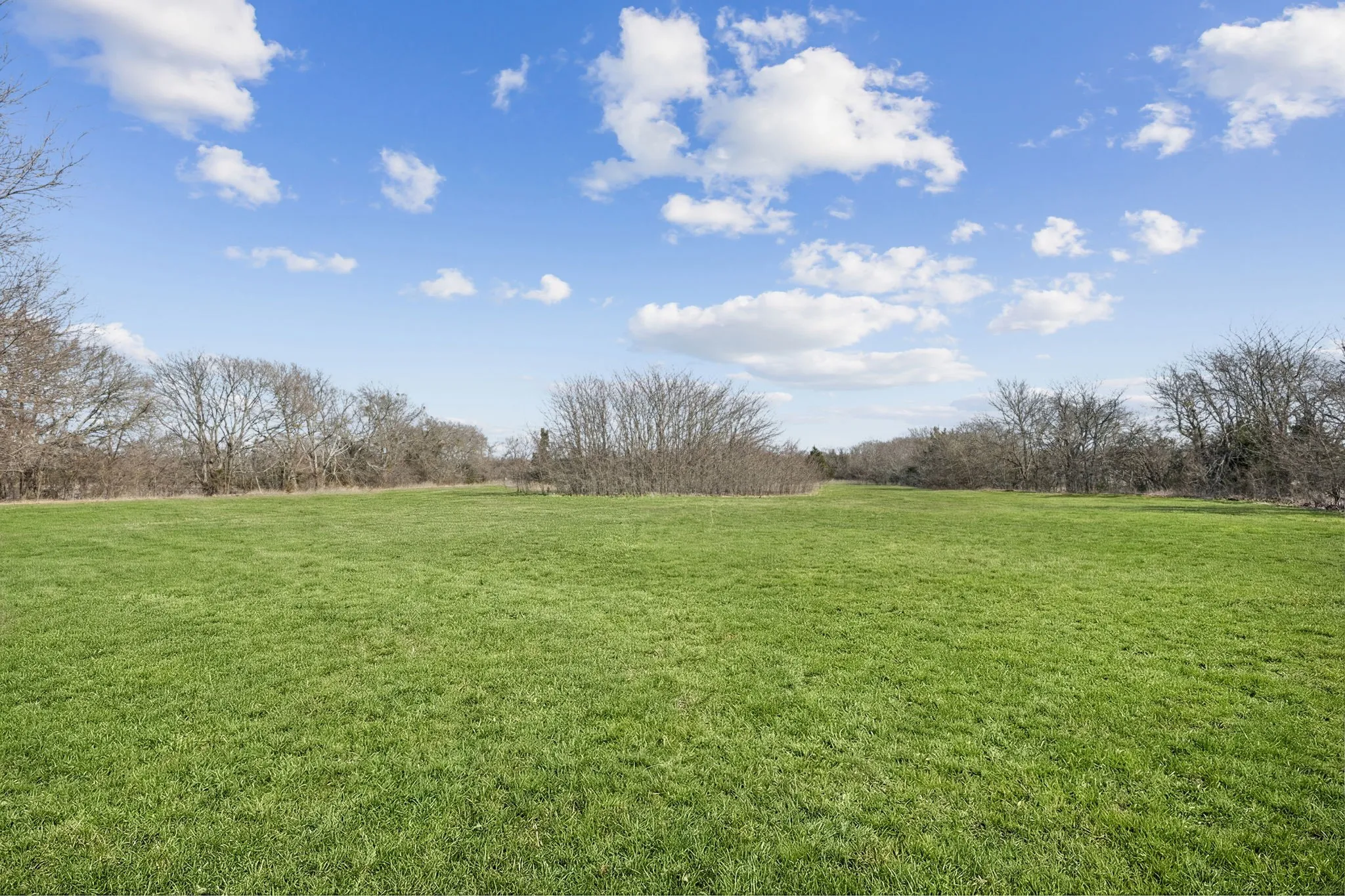 Unimproved Land For Sale in Grayson County , TBD State Hwy 160, Whitewright, Texas 75491, 0, 0, Garage spaces, 0 Sqft, built in 0, mls#21375404, Real Estate Agent in Whitewright, Homes For Sale in Grayson county, Homes For Sale in Whitewright, Realtor in Whitewright Texas, Real Estate Brokerage Independent Realty Texas, Luminita Cordes Realtor