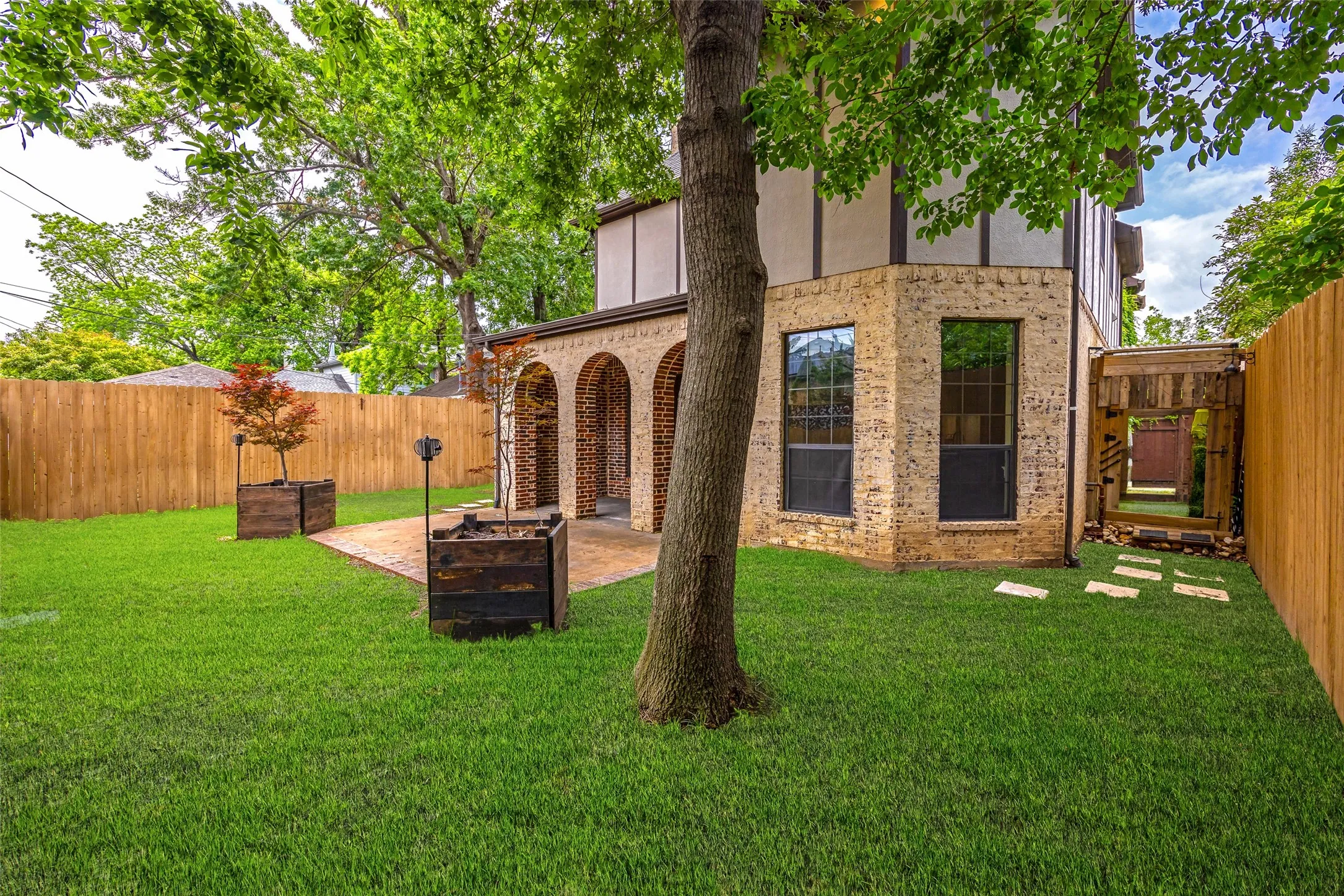 Back Yard