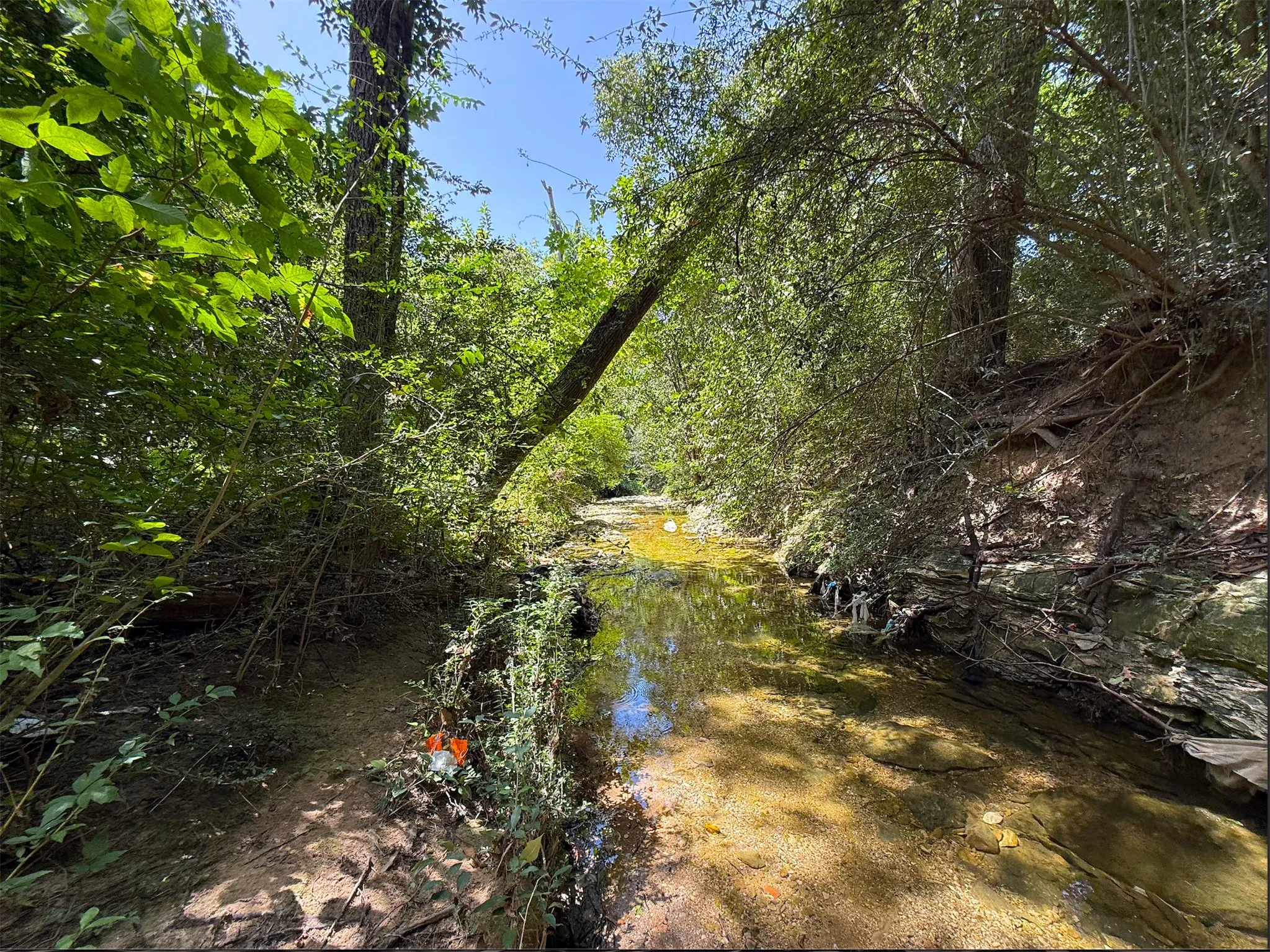 Unimproved Land For Sale in Dallas County , 923 Stella Avenue, Dallas, Texas 75216, 0, 0, Garage spaces, 0 Sqft, built in 0, mls#21376639, Real Estate Agent in Dallas, Homes For Sale in Dallas county, Homes For Sale in Dallas, Realtor in Dallas Texas, Real Estate Brokerage Independent Realty Texas, Luminita Cordes Realtor