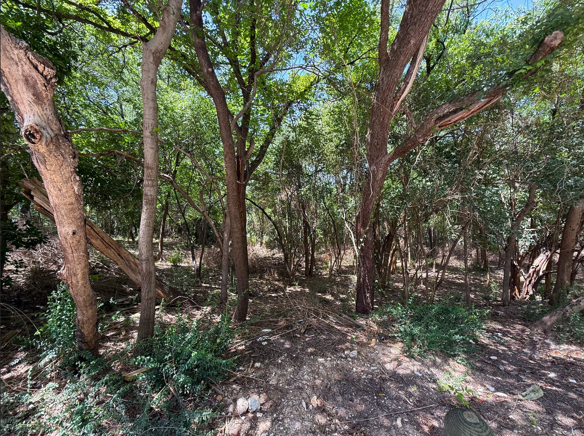 Unimproved Land For Sale in Dallas County , 923 Stella Avenue, Dallas, Texas 75216, 0, 0, Garage spaces, 0 Sqft, built in 0, mls#21376639, Real Estate Agent in Dallas, Homes For Sale in Dallas county, Homes For Sale in Dallas, Realtor in Dallas Texas, Real Estate Brokerage Independent Realty Texas, Luminita Cordes Realtor