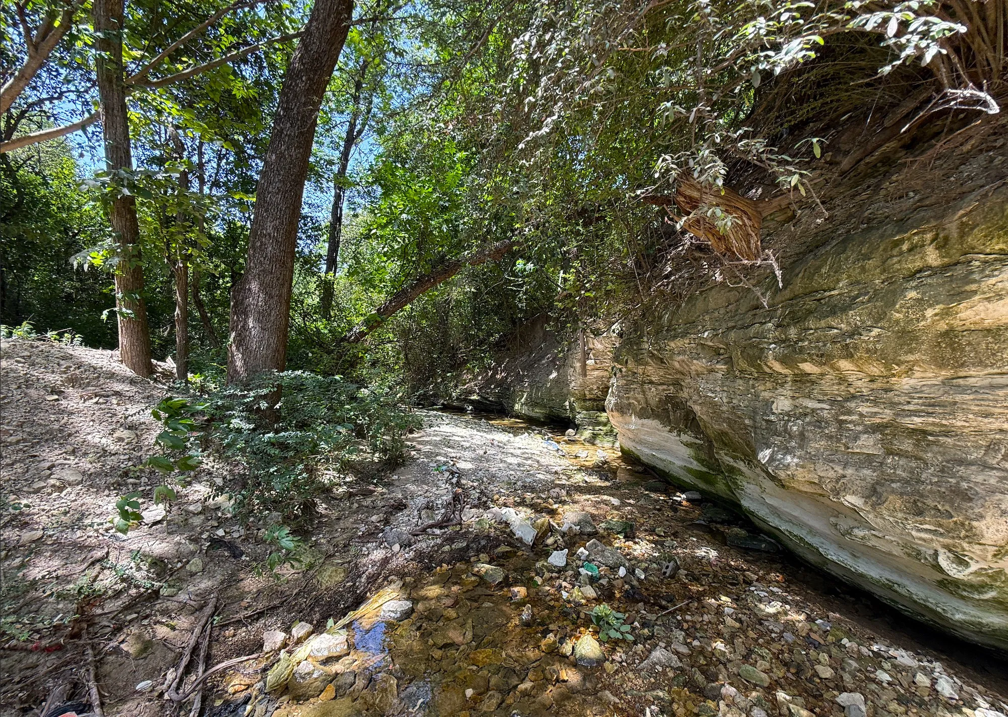 Unimproved Land For Sale in Dallas County , 923 Stella Avenue, Dallas, Texas 75216, 0, 0, Garage spaces, 0 Sqft, built in 0, mls#21376639, Real Estate Agent in Dallas, Homes For Sale in Dallas county, Homes For Sale in Dallas, Realtor in Dallas Texas, Real Estate Brokerage Independent Realty Texas, Luminita Cordes Realtor