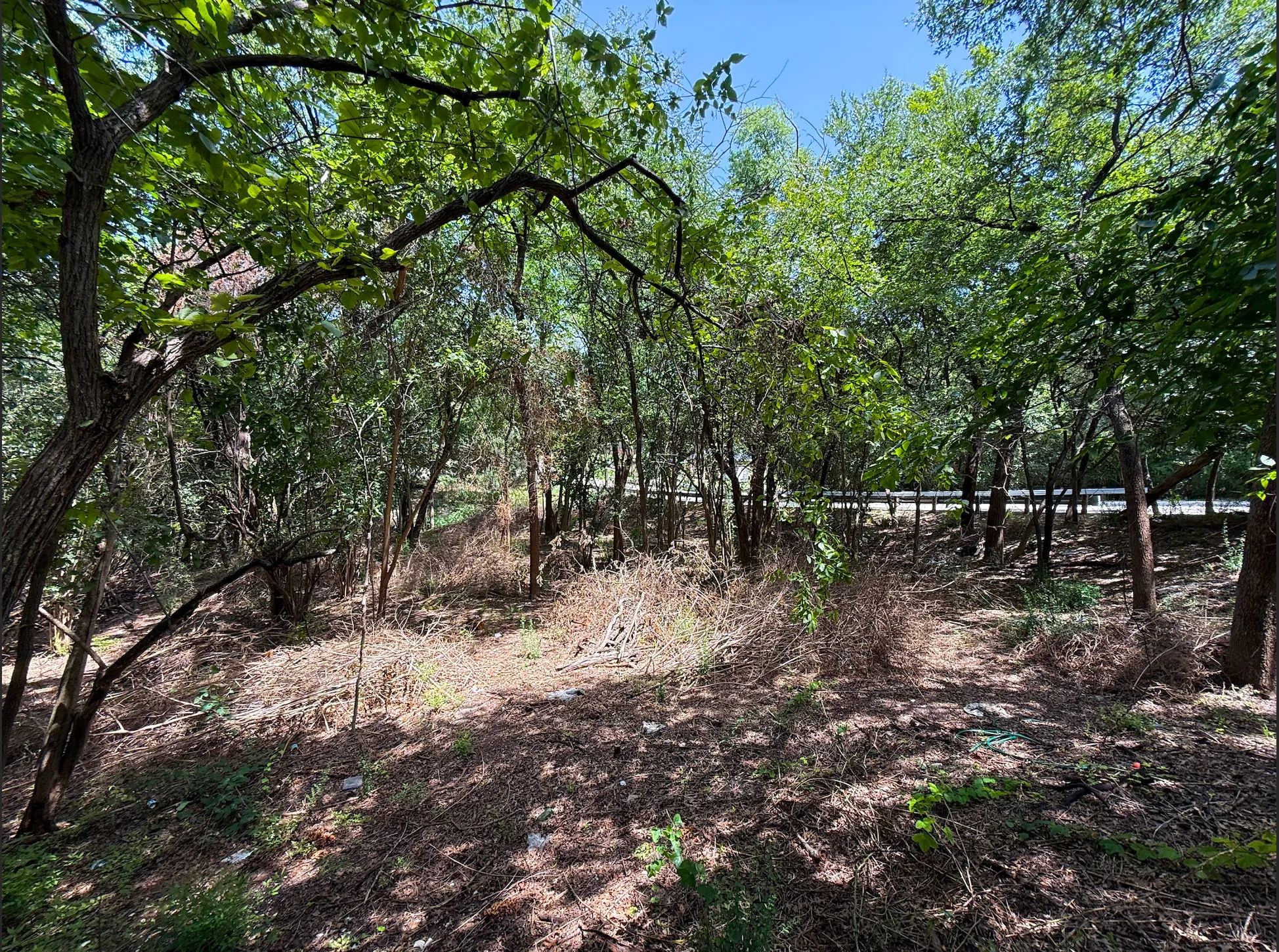 Unimproved Land For Sale in Dallas County , 923 Stella Avenue, Dallas, Texas 75216, 0, 0, Garage spaces, 0 Sqft, built in 0, mls#21376639, Real Estate Agent in Dallas, Homes For Sale in Dallas county, Homes For Sale in Dallas, Realtor in Dallas Texas, Real Estate Brokerage Independent Realty Texas, Luminita Cordes Realtor