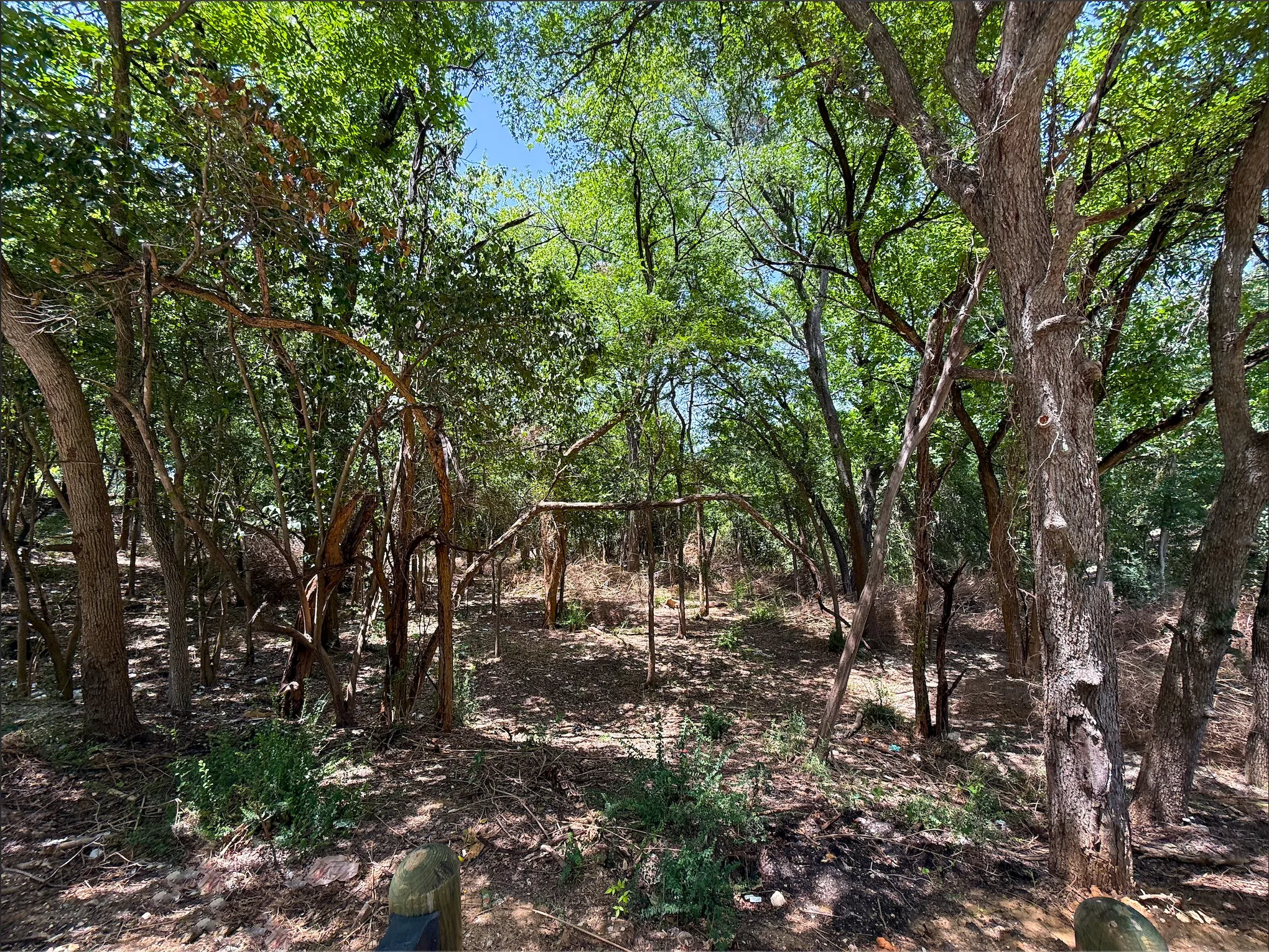 Unimproved Land For Sale in Dallas County , 923 Stella Avenue, Dallas, Texas 75216, 0, 0, Garage spaces, 0 Sqft, built in 0, mls#21376639, Real Estate Agent in Dallas, Homes For Sale in Dallas county, Homes For Sale in Dallas, Realtor in Dallas Texas, Real Estate Brokerage Independent Realty Texas, Luminita Cordes Realtor