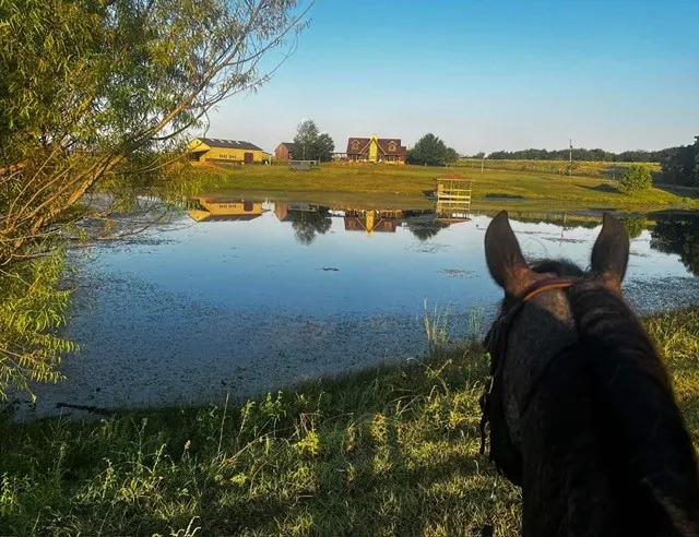 Farm For Sale in Ellis County , 1240 Union Hill Road, Ennis, Texas 75119, 4 Bedroom, 4 Bathroom, 2 Garage spaces, 3,000 Sqft, built in 2005, mls#21376156, Real Estate Agent in Ennis, Homes For Sale in Ellis county, Homes For Sale in Ennis, Realtor in Ennis Texas, Real Estate Brokerage Independent Realty Texas, Luminita Cordes Realtor