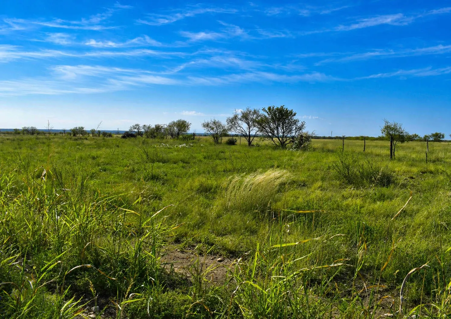Ranch For Sale in Mc Culloch County , 20 A CR 144, Brady, Texas 76825, 0, 0, Garage spaces, 0 Sqft, built in 0, mls#21375178, Real Estate Agent in Brady, Homes For Sale in Mc Culloch county, Homes For Sale in Brady, Realtor in Brady Texas, Real Estate Brokerage Independent Realty Texas, Luminita Cordes Realtor