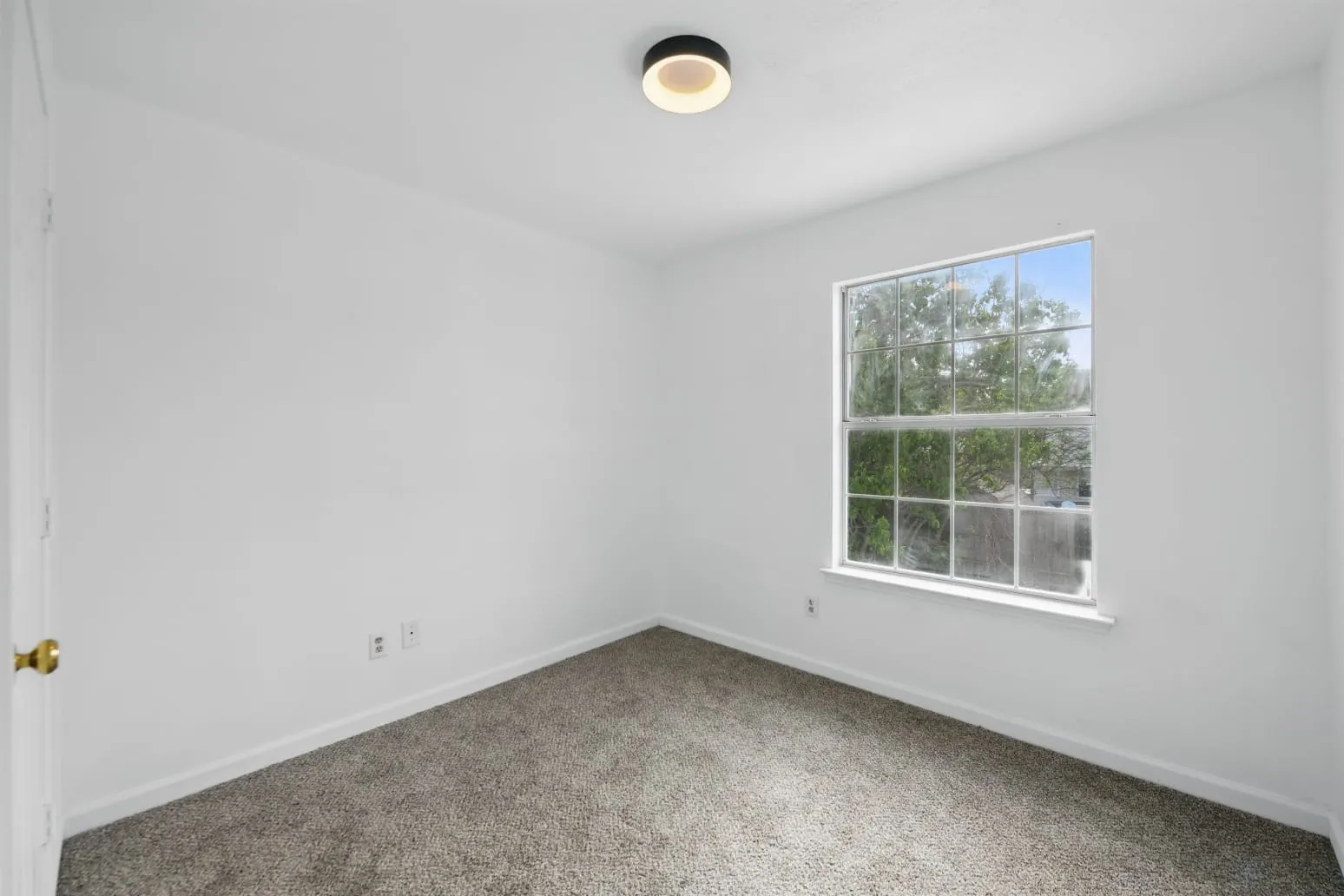 Spare room featuring carpet and baseboards