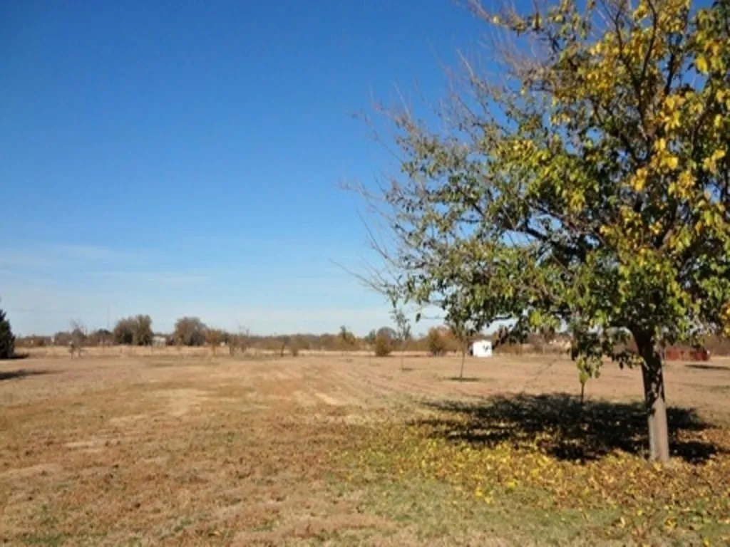 Single Family Residence For Rent in Denton County , 205 French Settlement Road, Little Elm, Texas 75068, 3 Bedroom, 2 Bathroom, Garage spaces, 1,316 Sqft, built in 1969, mls#21376717, Real Estate Agent in Little Elm, Homes For Rent in Denton county, Homes For Rent in Little Elm, Realtor in Little Elm Texas, Real Estate Brokerage Independent Realty Texas, Luminita Cordes Realtor