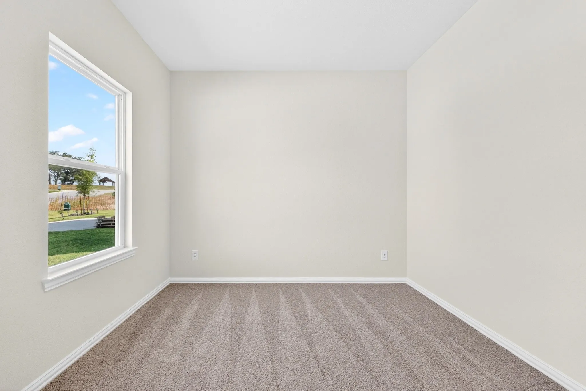 Neutral wall paint, plush carpet flooring, and a white-trimmed window