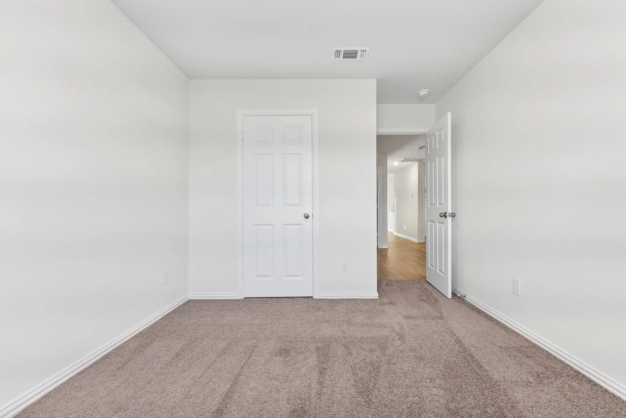 Neutral wall paint, light-toned carpet flooring, white trim, paneled doors, and a hallway with wood-finish flooring