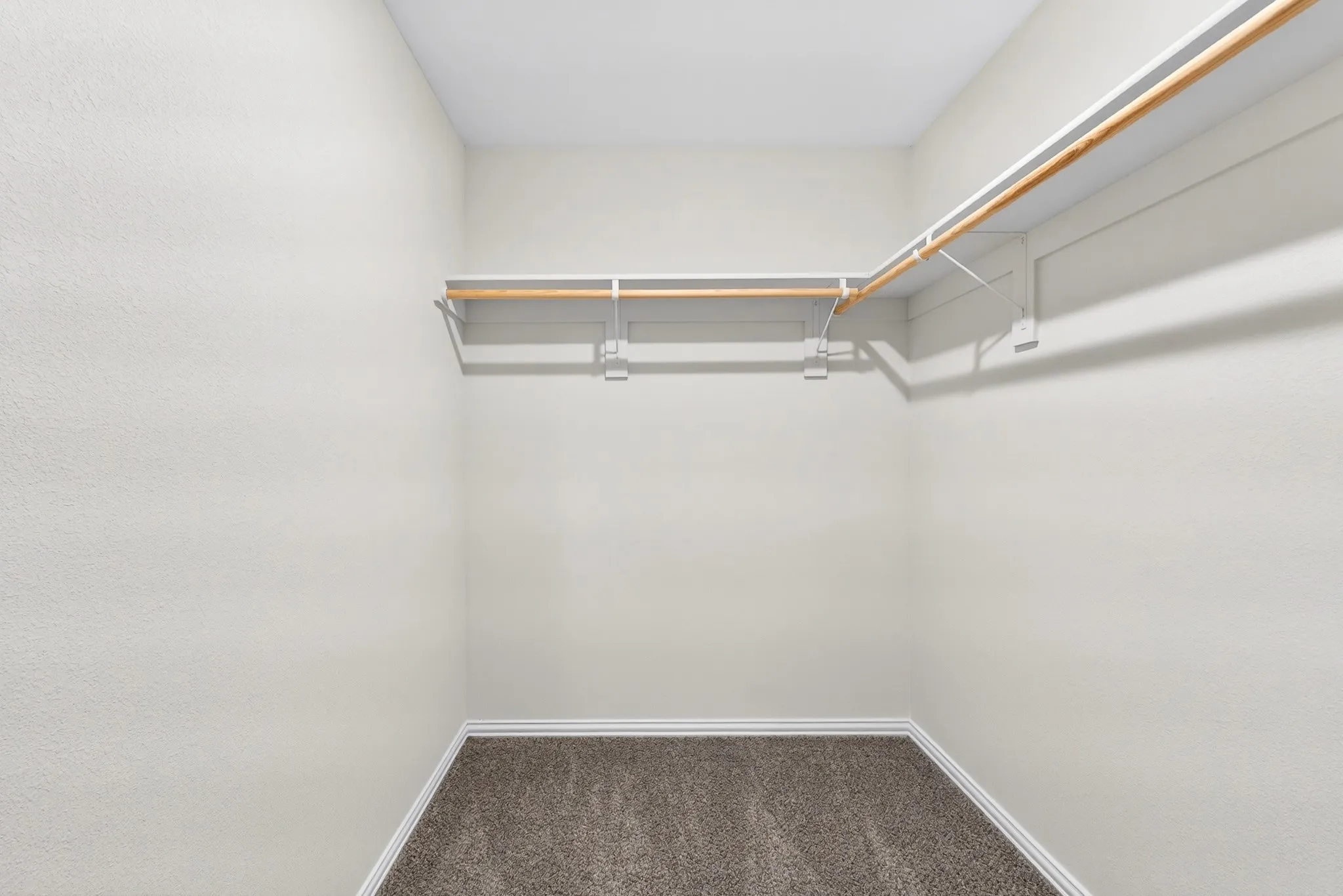 Walk-in closet with neutral carpeting and built-in shelving