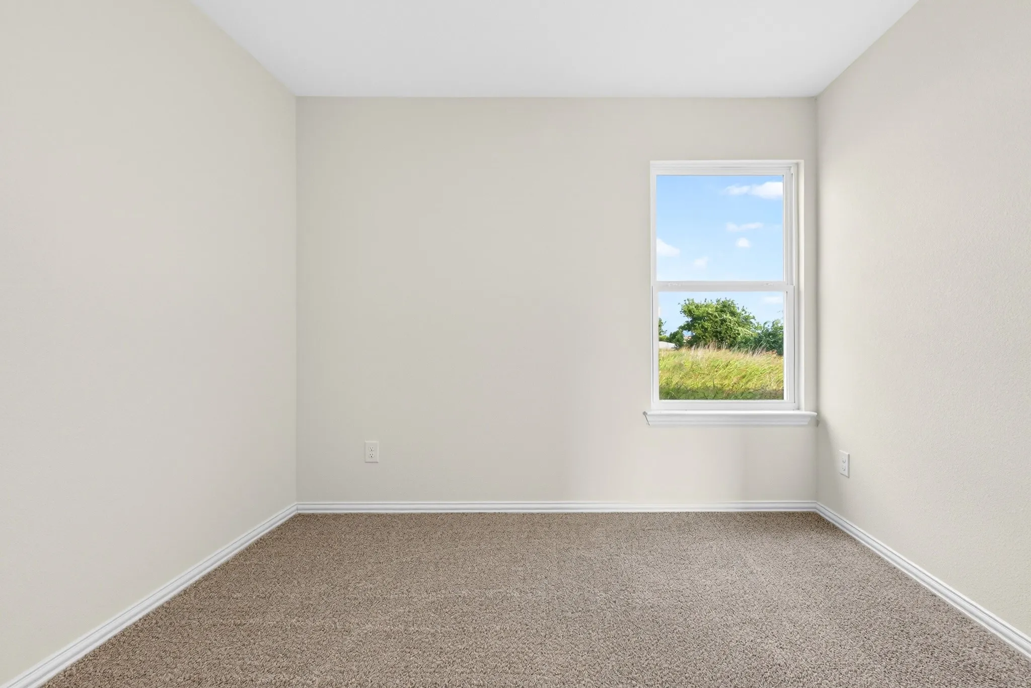 Neutral wall paint with textured finish, white trim, and carpeted flooring
