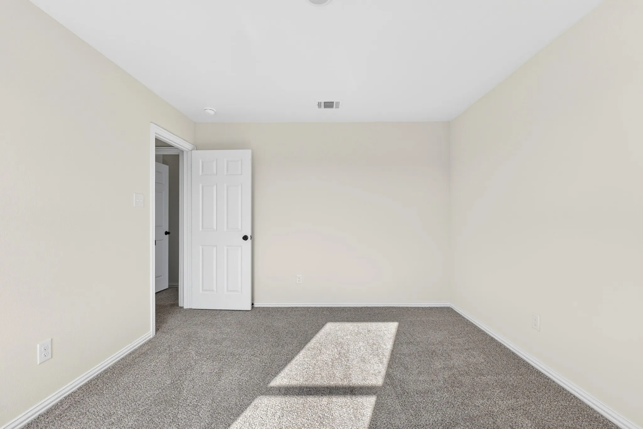 Light neutral wall color, gray carpet, and white trim