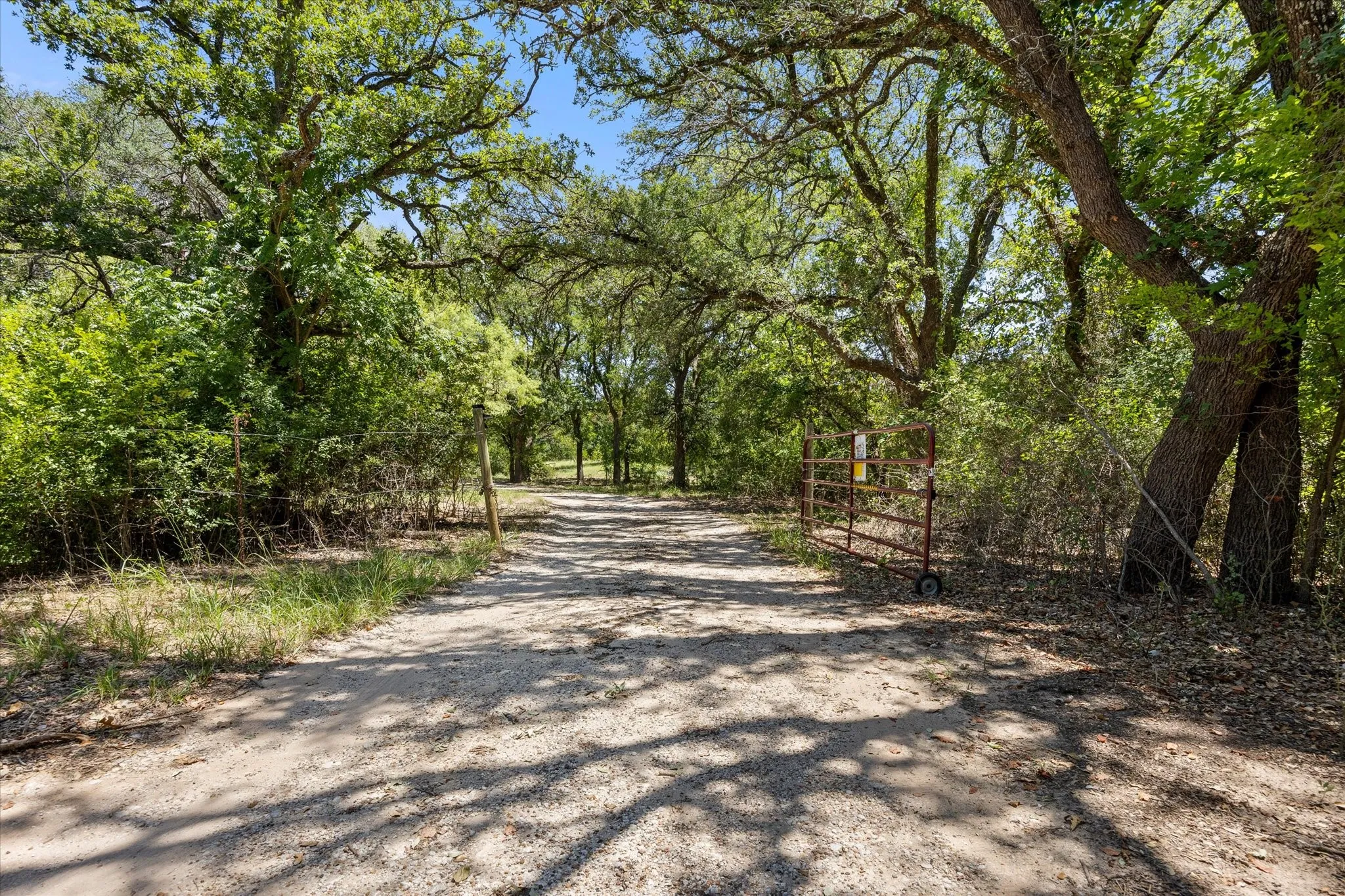 Driveway