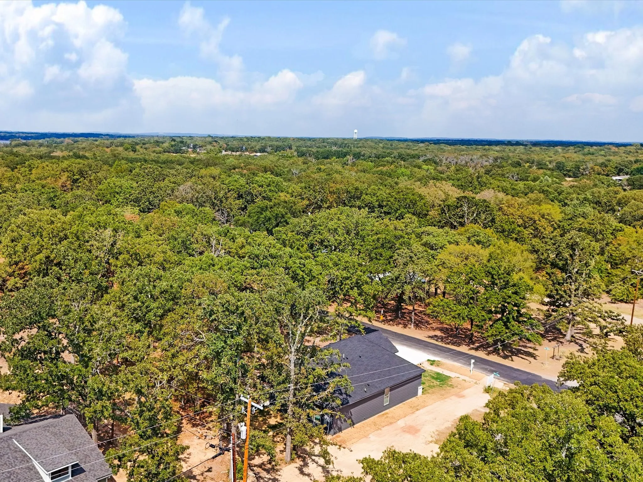 Expansive treed landscape with a contemporary residence featuring a dark gray exterior and a dark shingle roof