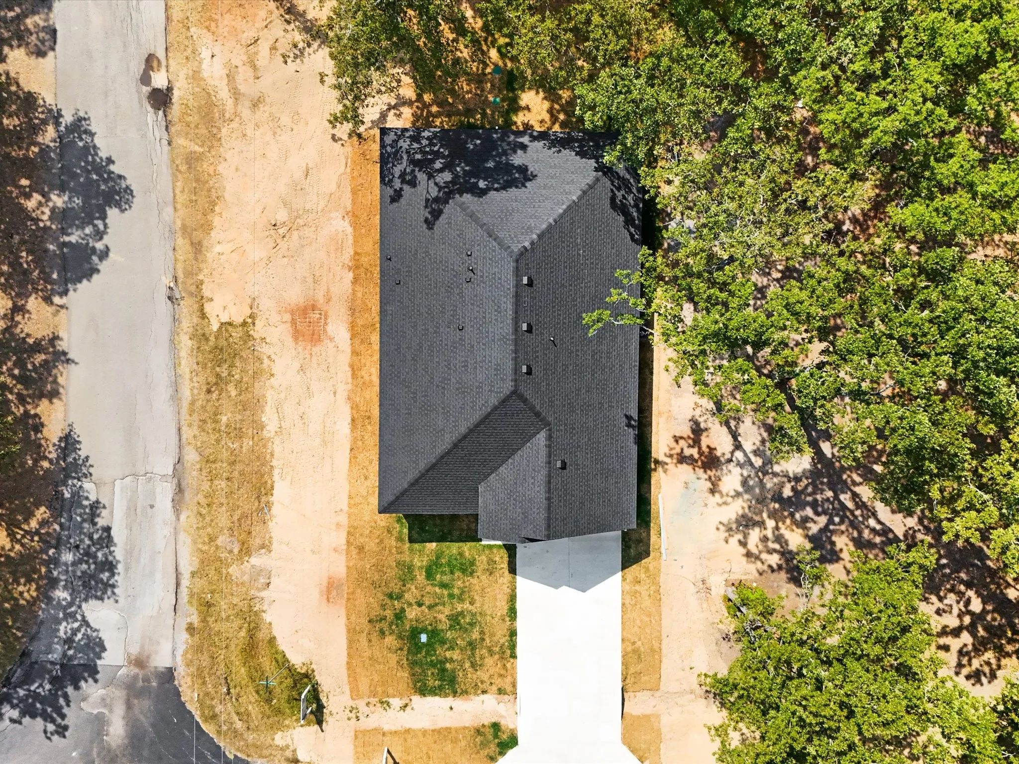 New construction residence featuring a dark shingle roof, a white concrete driveway, and surrounding mature trees