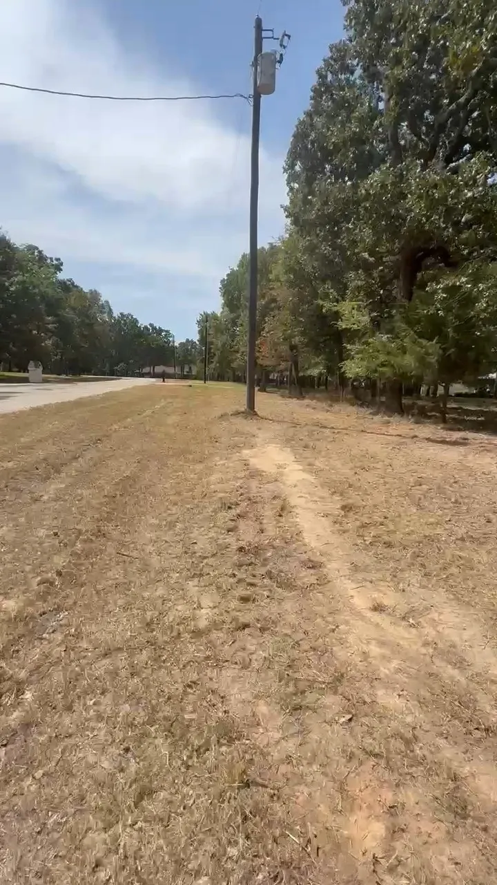 CR1991 view1
